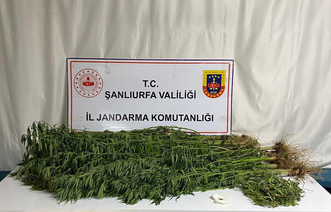 Şanlıurfa’da 15 adrese uyuşturucu operasyonu: 15 gözaltı