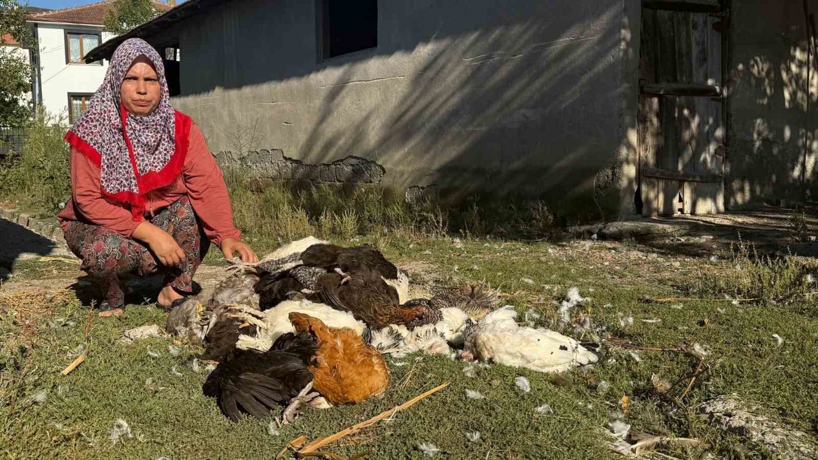 Kadın girişimcinin 22 yıllık emeği bir gecede yok oldu
