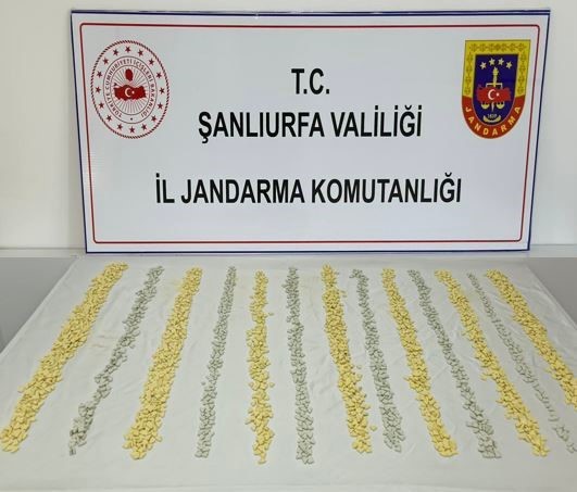 MİT tespit etti, jandarma operasyon düzenledi
