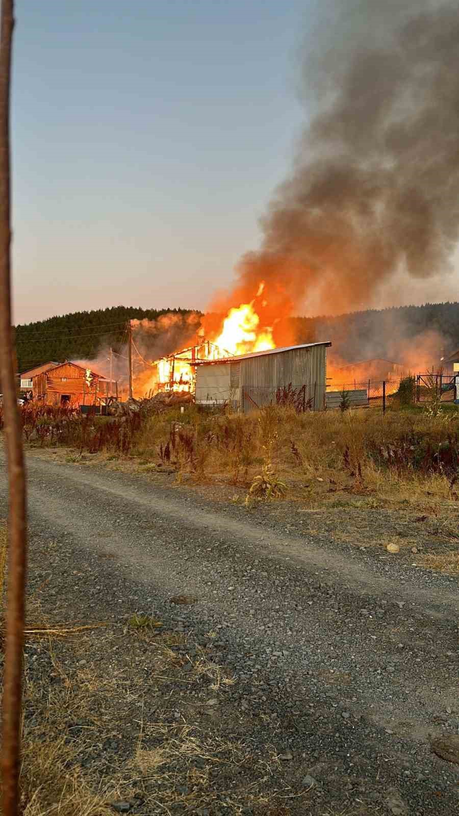 Bolu Valiliği a&ccedil;ıkladı, yayla evleri elektrik ka&ccedil;ağından yanmış
