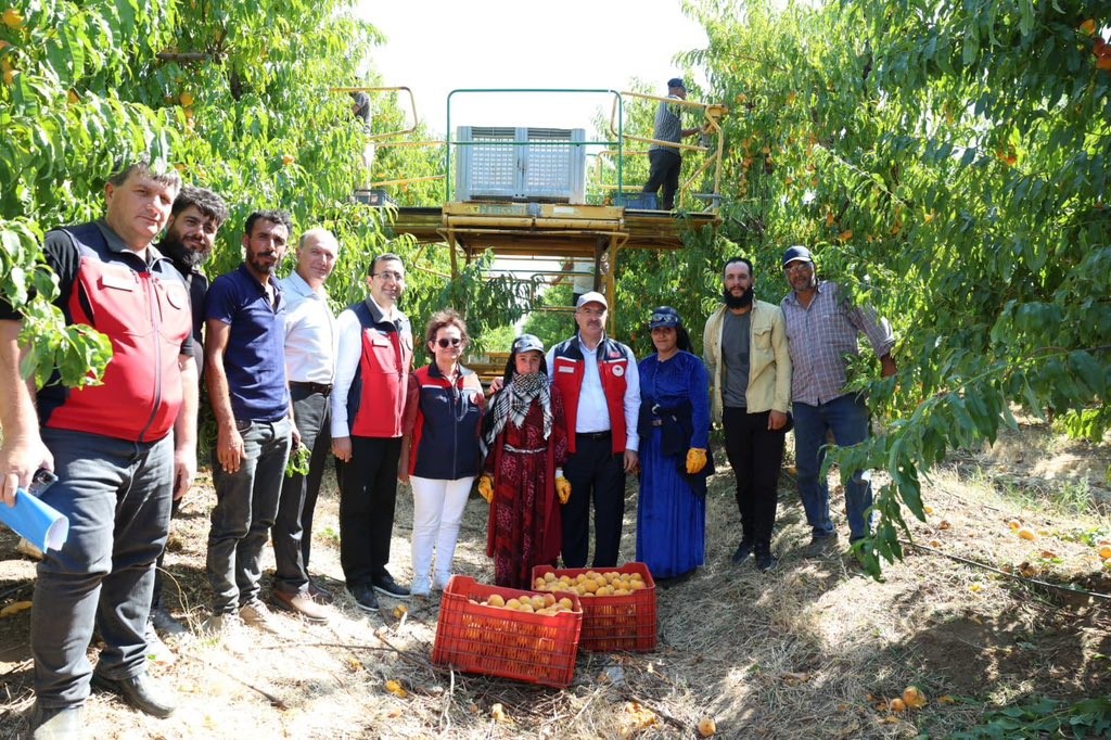 Türkiye genelinde Çanakkale, şeftali’de 2’nci nektarinde 3’üncü sırada