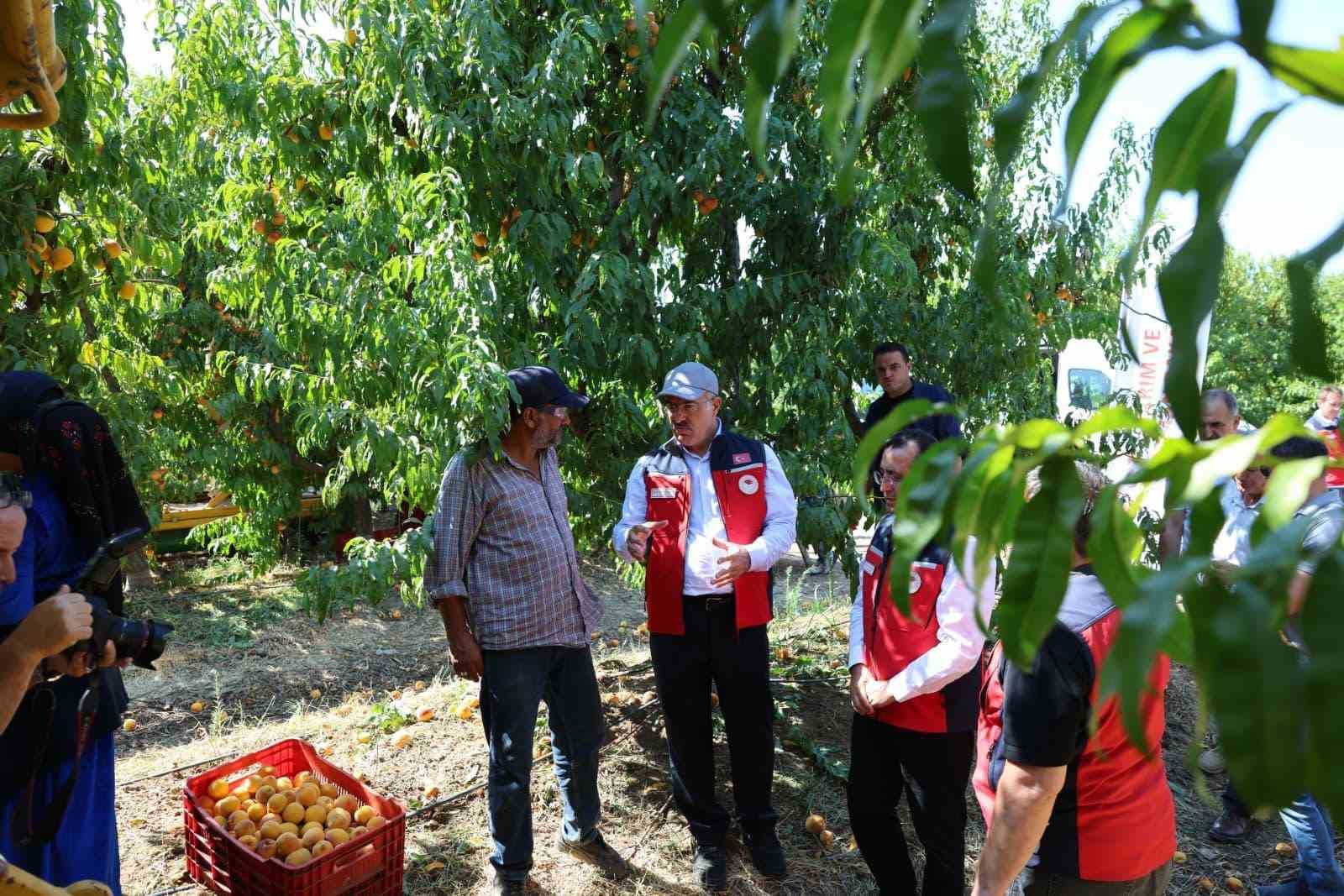 T&uuml;rkiye genelinde &Ccedil;anakkale, şeftali&rsquo;de 2&rsquo;nci nektarinde 3&rsquo;&uuml;nc&uuml; sırada
