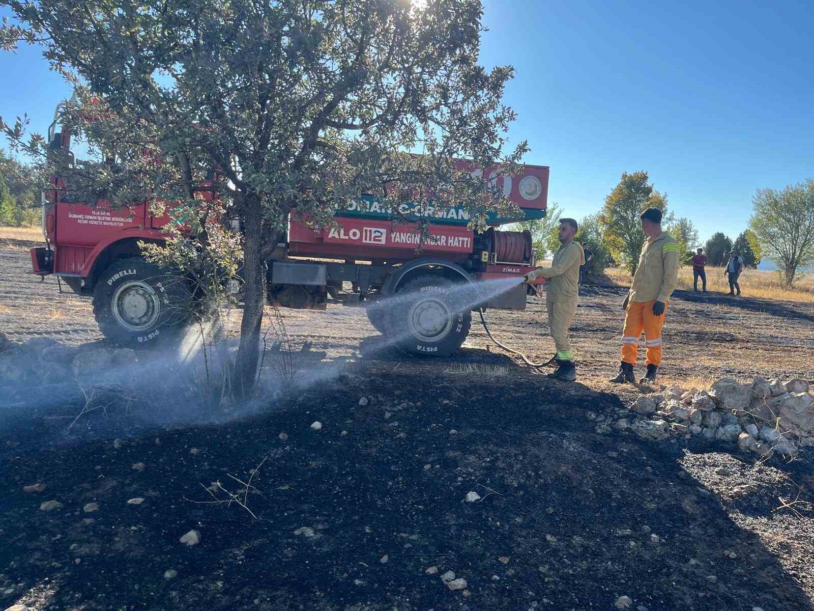 Anız yangını ormana sıçramadan söndürüldü