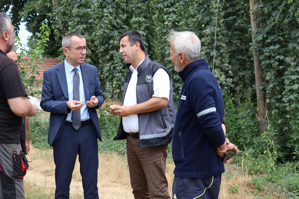 Bilecik’te şerbetçi otu incelemesi: Türkiye’de sadece Pazaryeri’nde yetişiyor