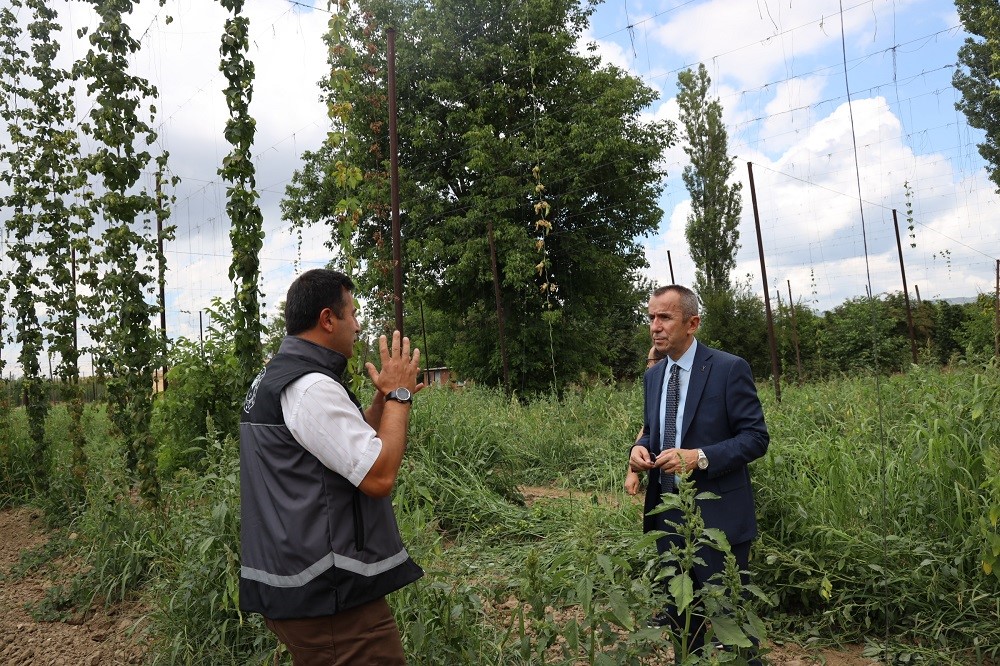 Bilecik&rsquo;te şerbet&ccedil;i otu incelemesi: T&uuml;rkiye&rsquo;de sadece Pazaryeri&rsquo;nde yetişiyor
