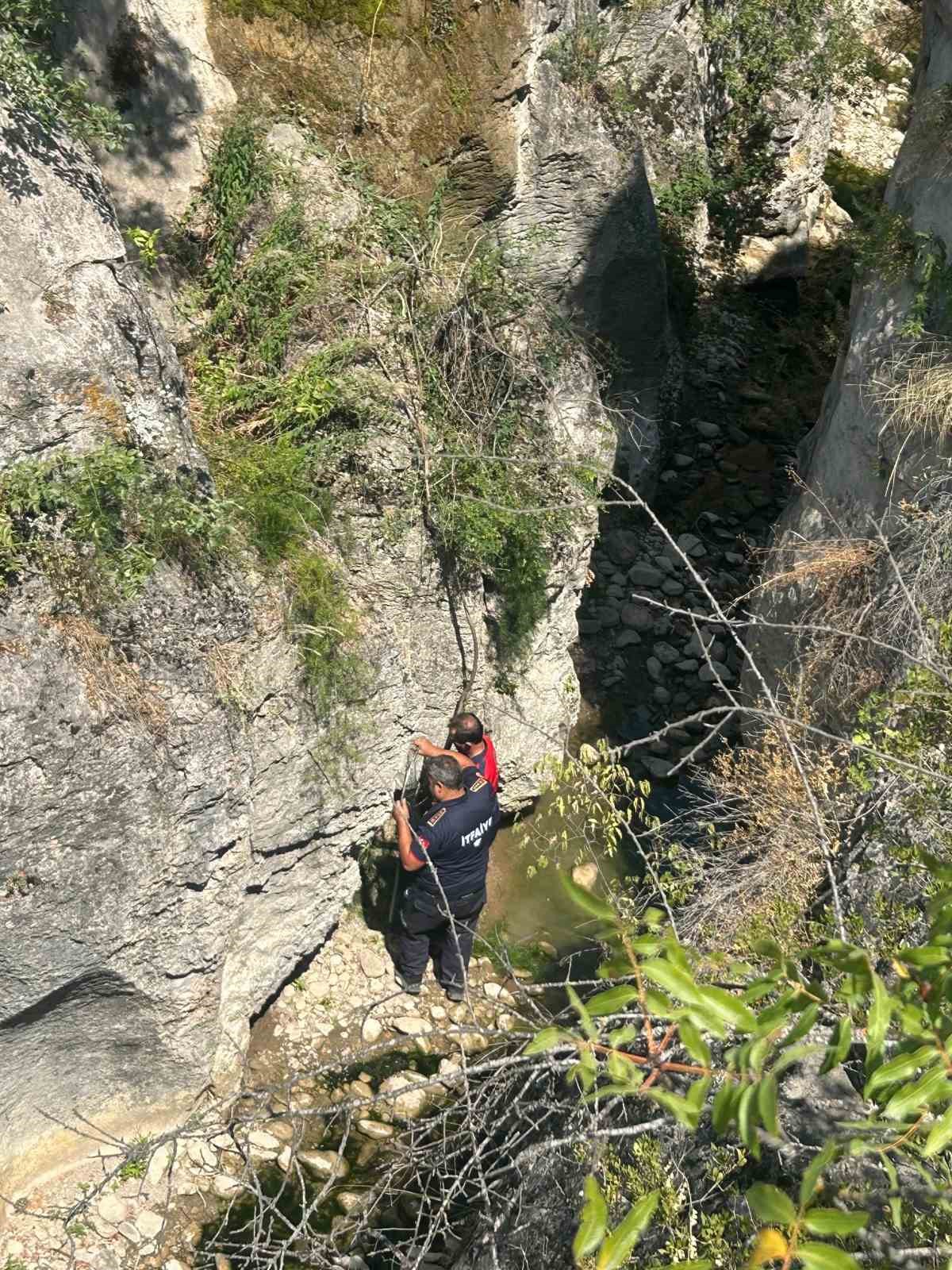 Kayalıkta mahsur kalan k&ouml;peği itfaiye ekipleri kurtardı
