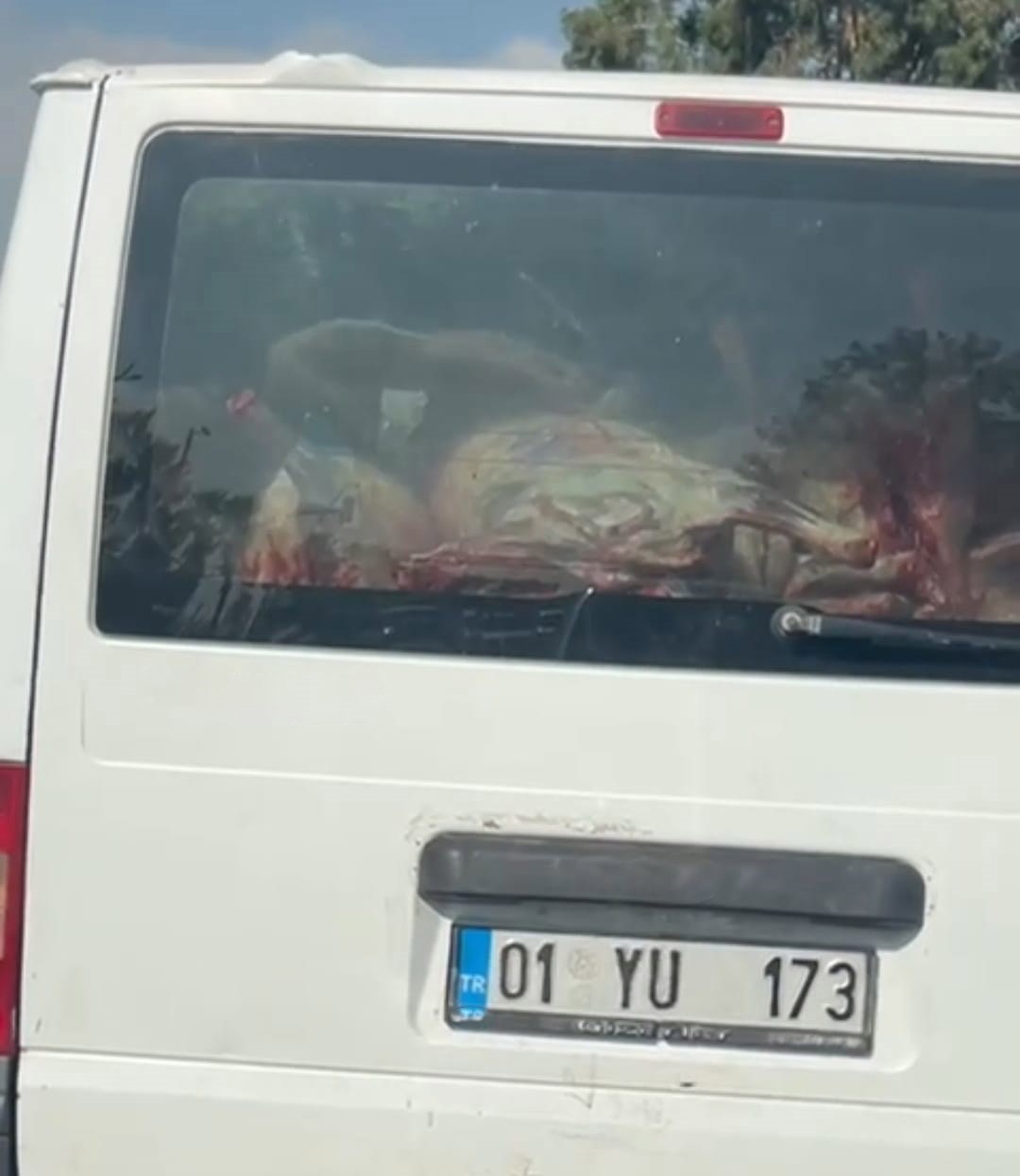 Adana’da etler hijyen kurallarına aykırı taşındı