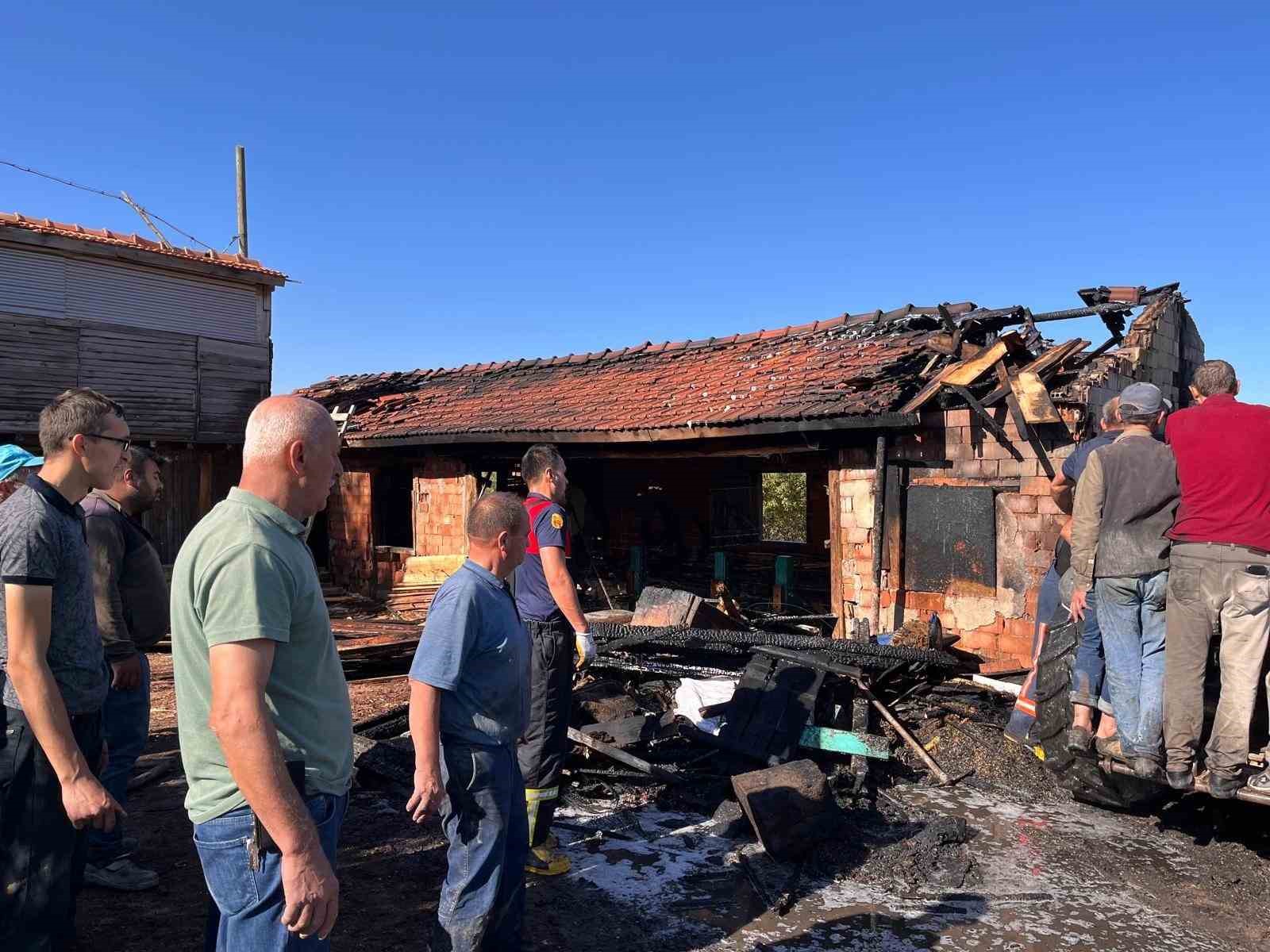 Domani&ccedil;&rsquo;te hızar at&ouml;lyesinde yangın
