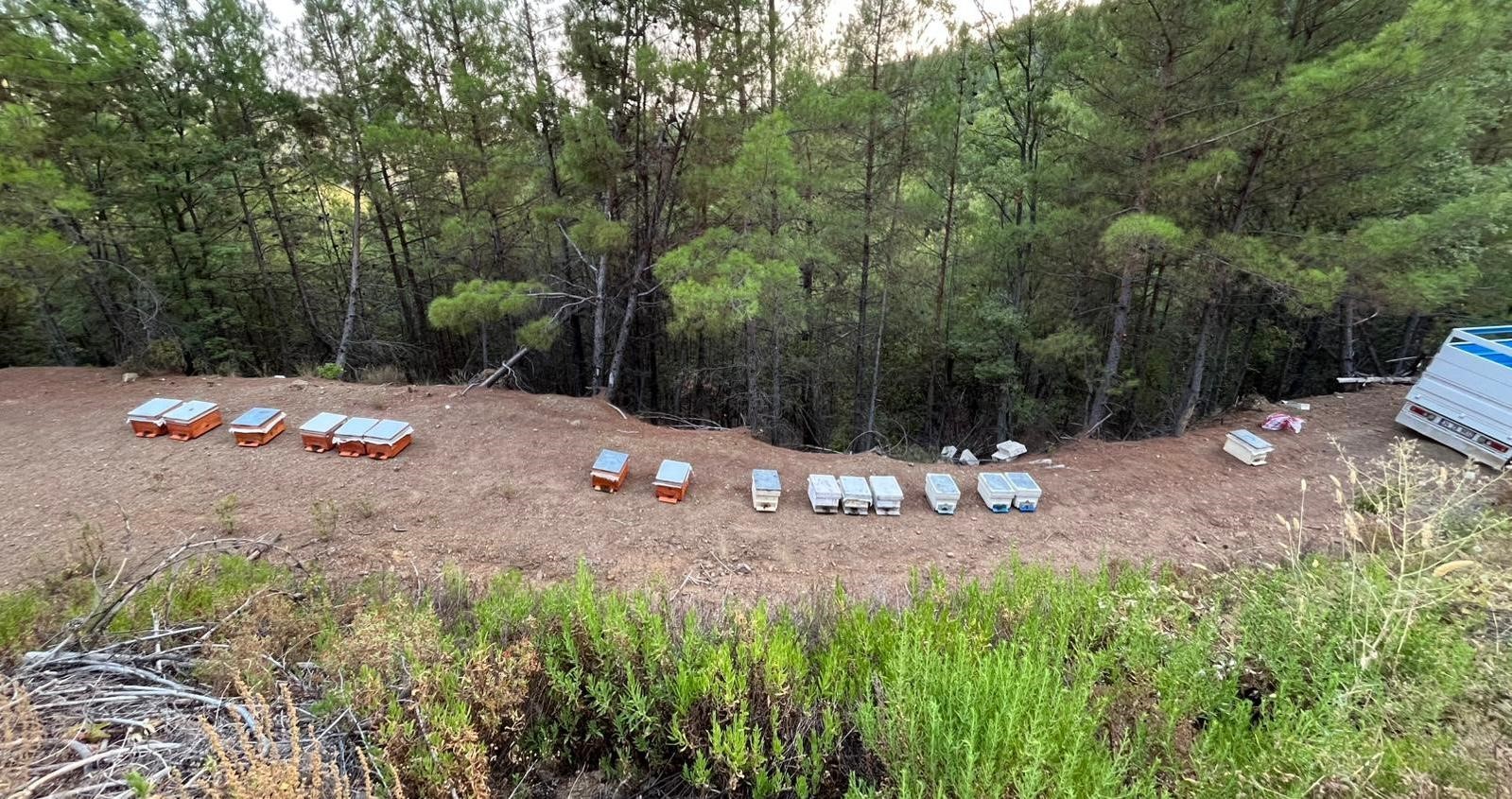 Gazipaşa’da 36 arı kovanı çalındı
