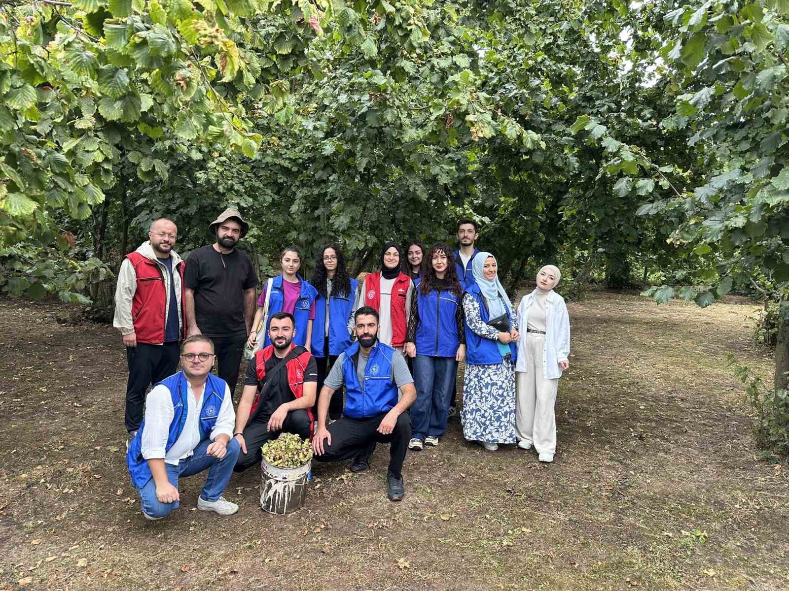 Gönüllü gençler fındık hasadı yaptı