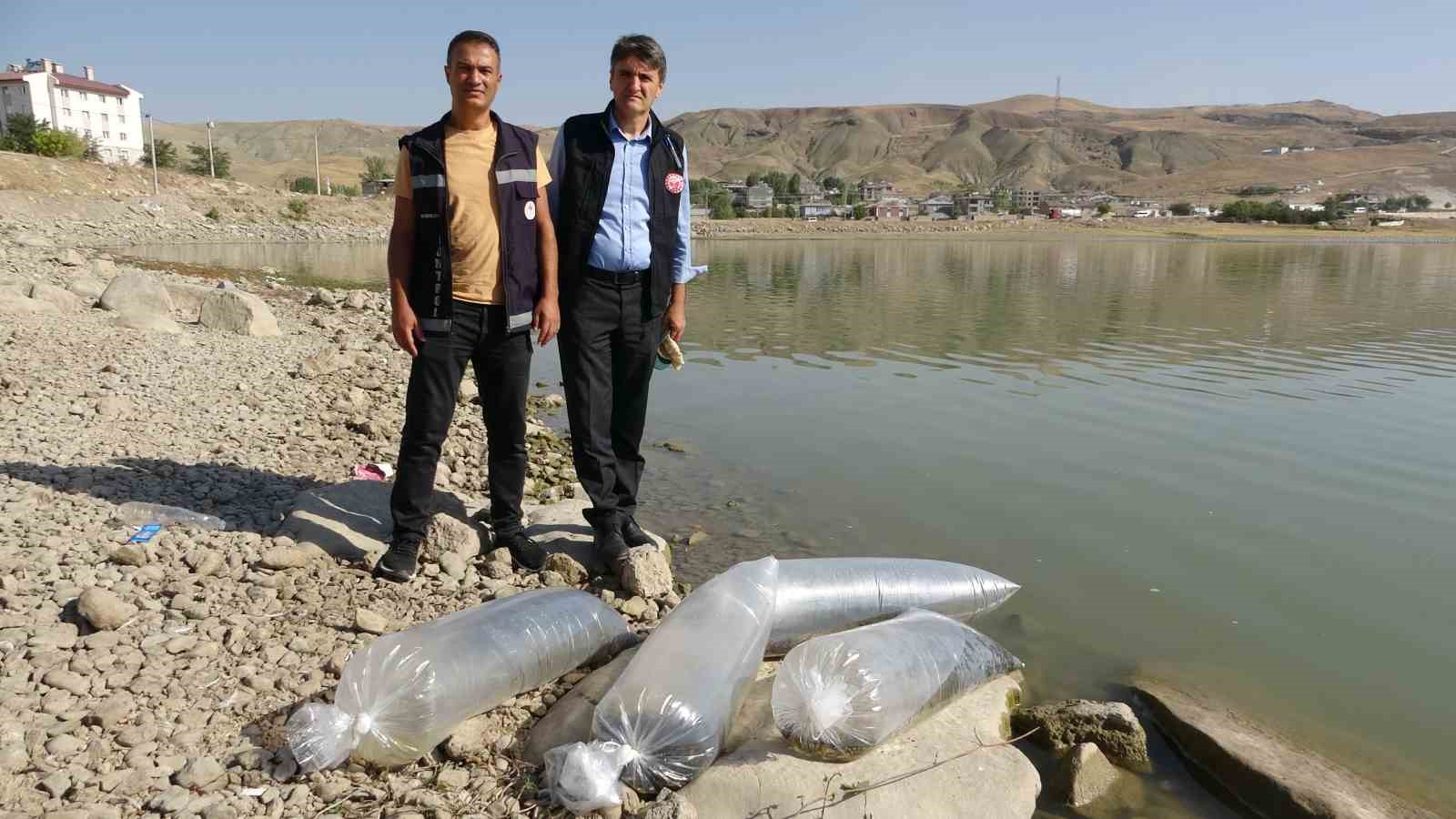 Van&rsquo;daki g&ouml;llere 450 bin yavru sazan bırakıldı
