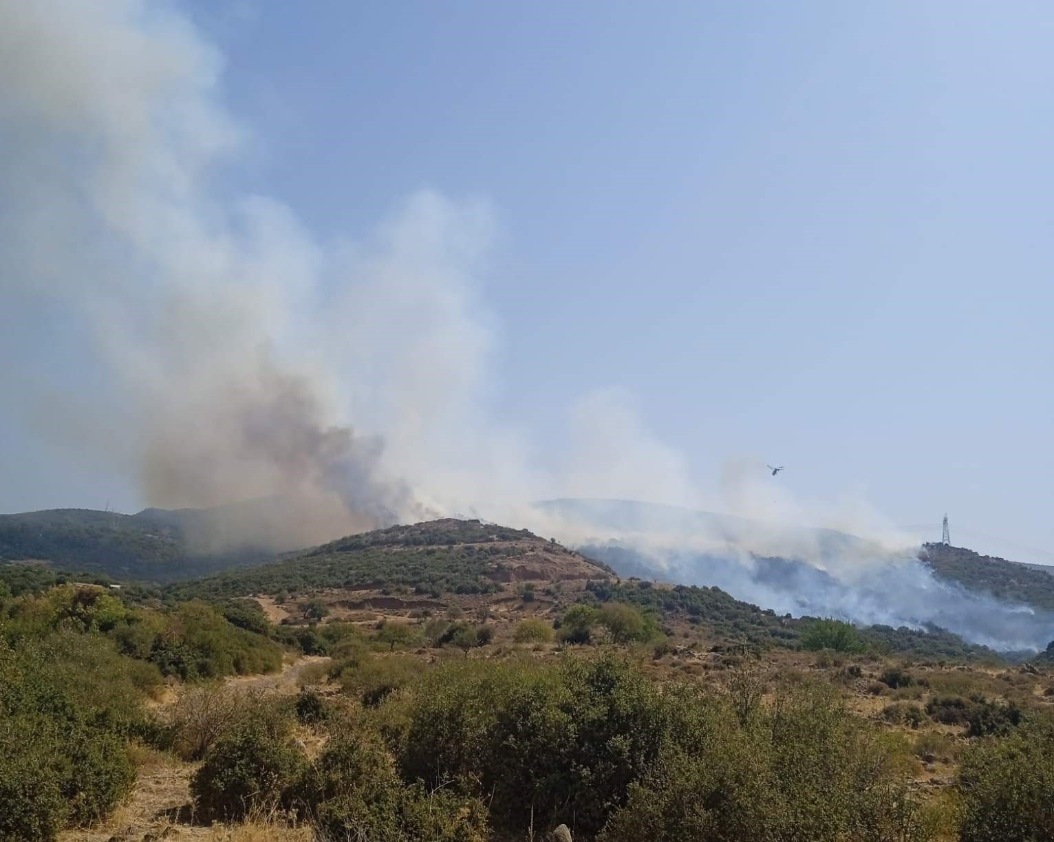 Aliağa’da makilik alanda yangın