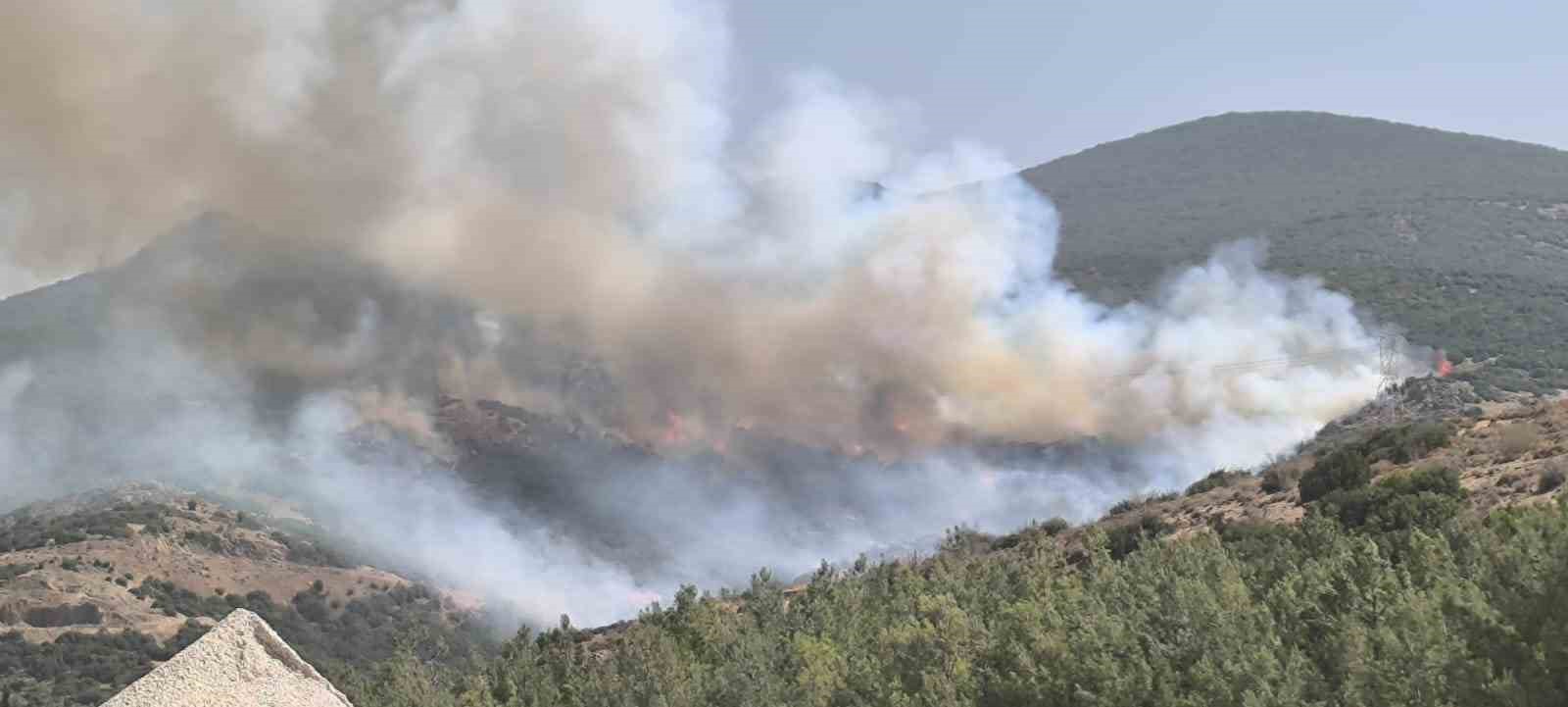 Aliağa&rsquo;da makilik alanda yangın
