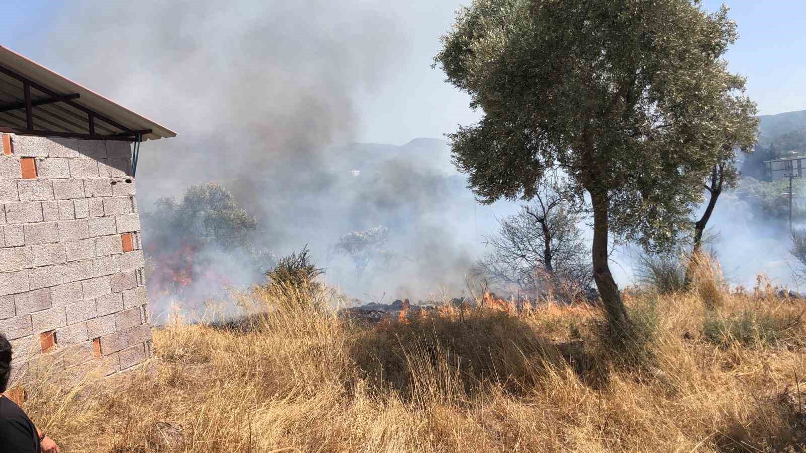 Bodrum’da otluk ve zeytinlik alanda yangın