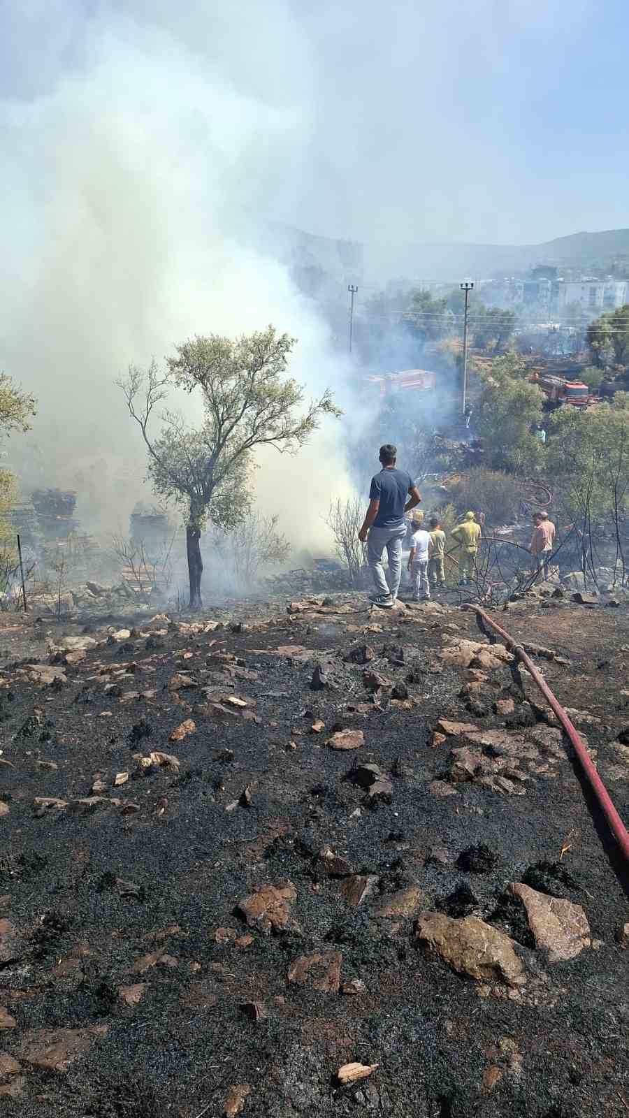 Bodrum&rsquo;da otluk ve zeytinlik alanda yangın
