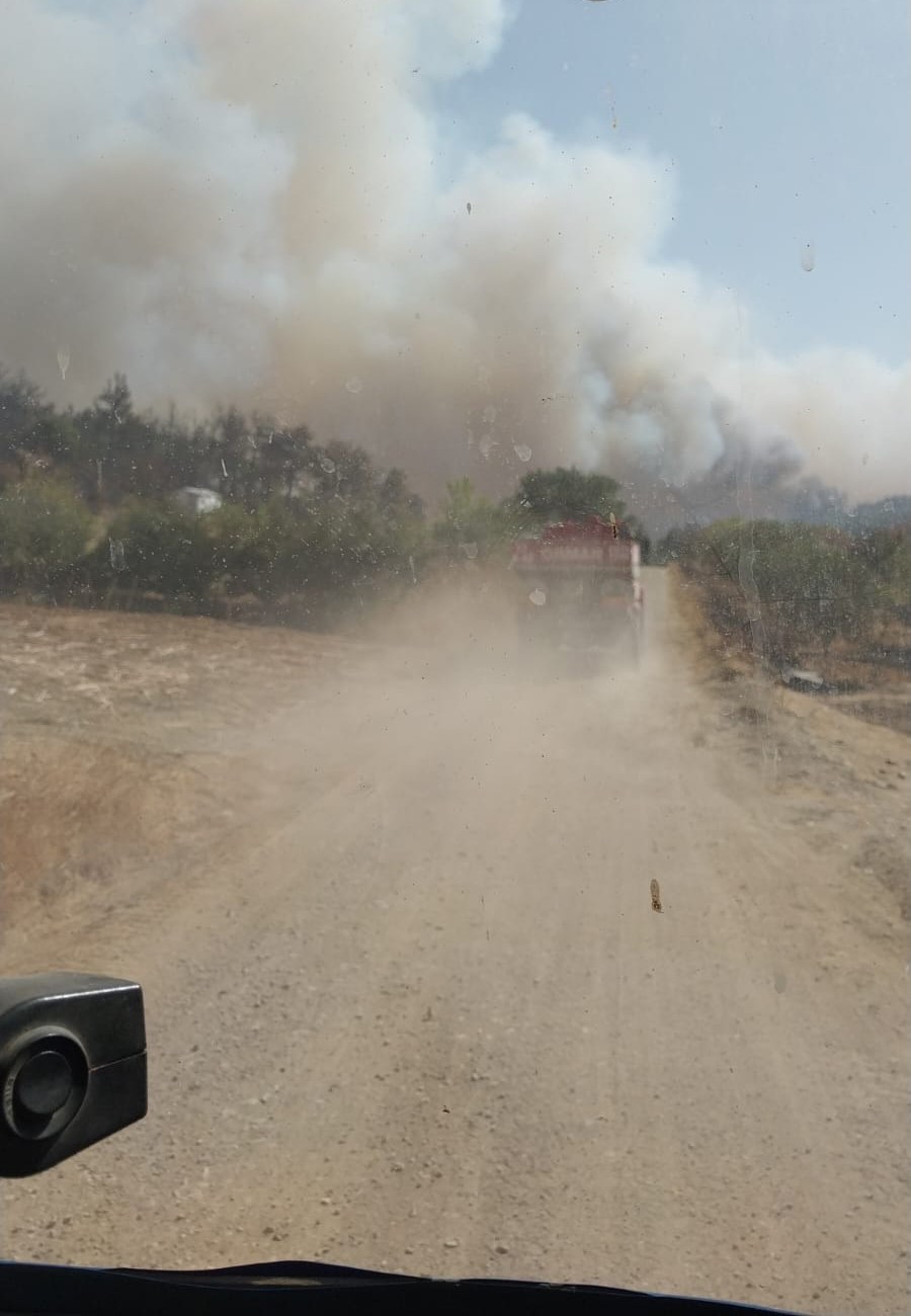 &Ccedil;anakkale&rsquo;de orman yangını

