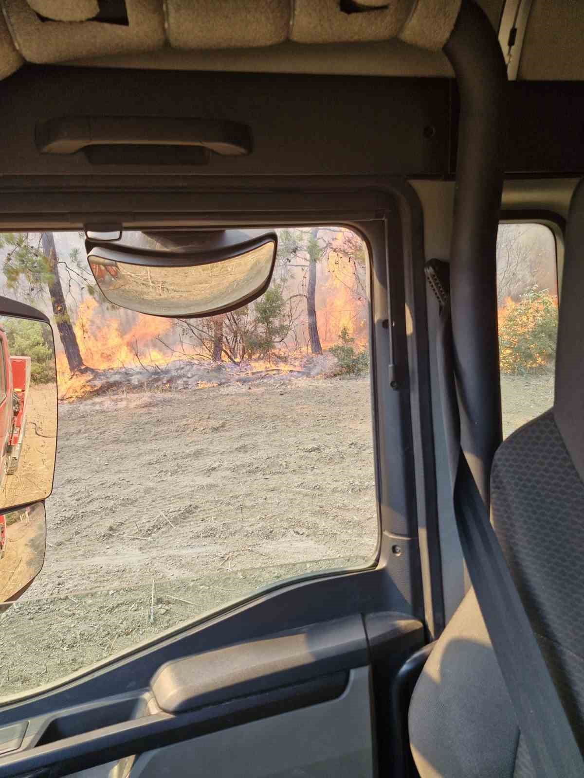 Gelibolu&rsquo;da &ccedil;ıkan orman yangınına havadan ve karadan m&uuml;dahale devam ediyor

