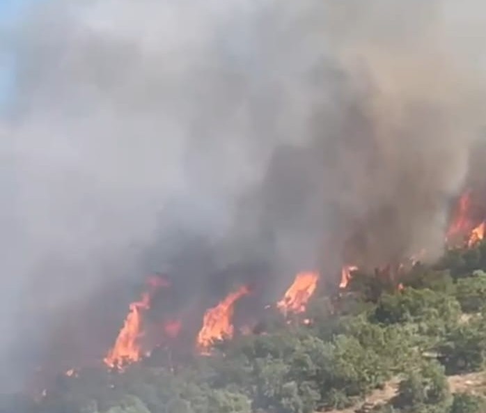 Malatya’da orman yangını