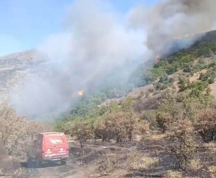 Malatya&rsquo;da orman yangını
