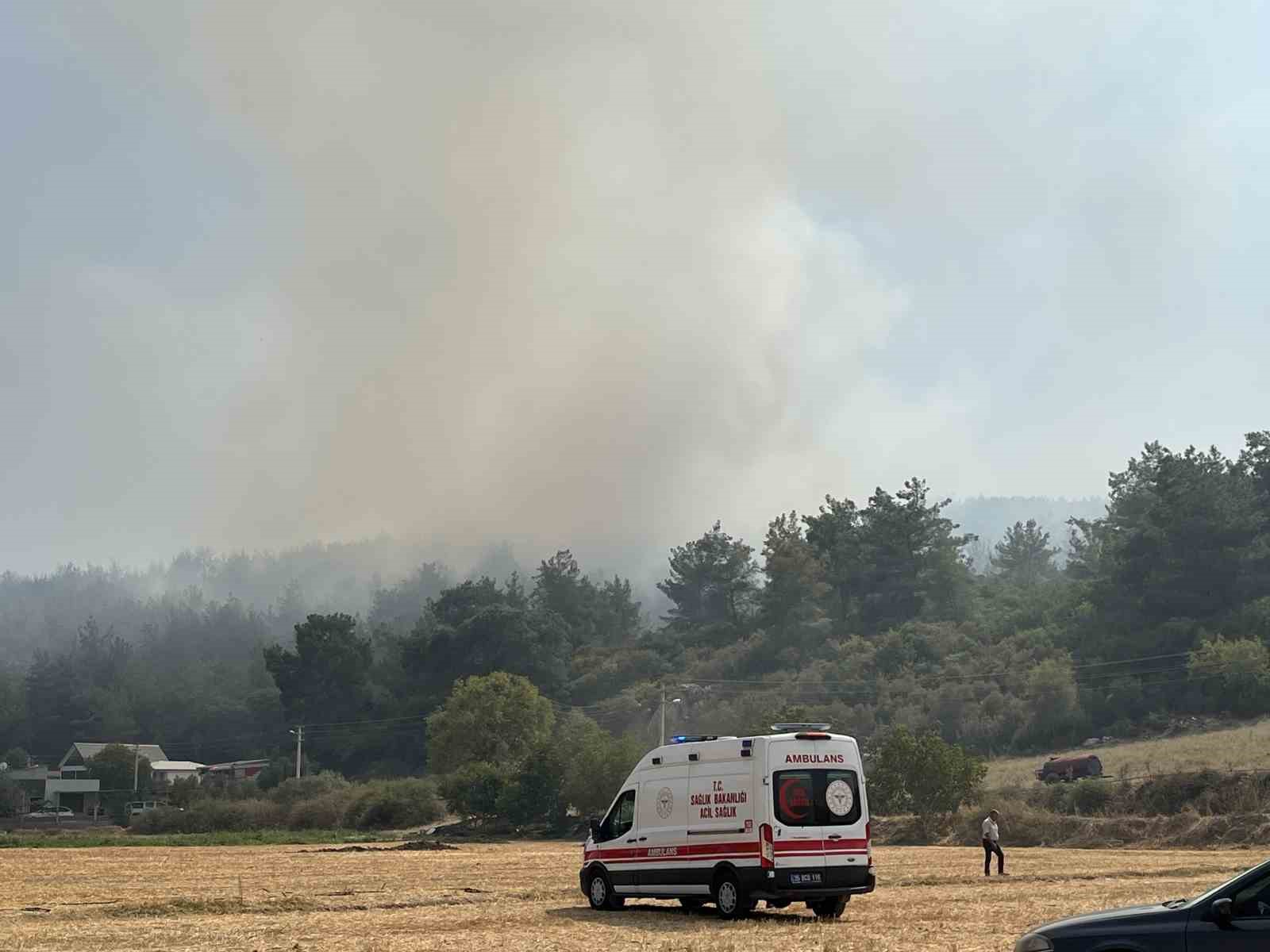 Orman yangınının sebebi yine &rsquo;Kaynak makinesi&rsquo;
