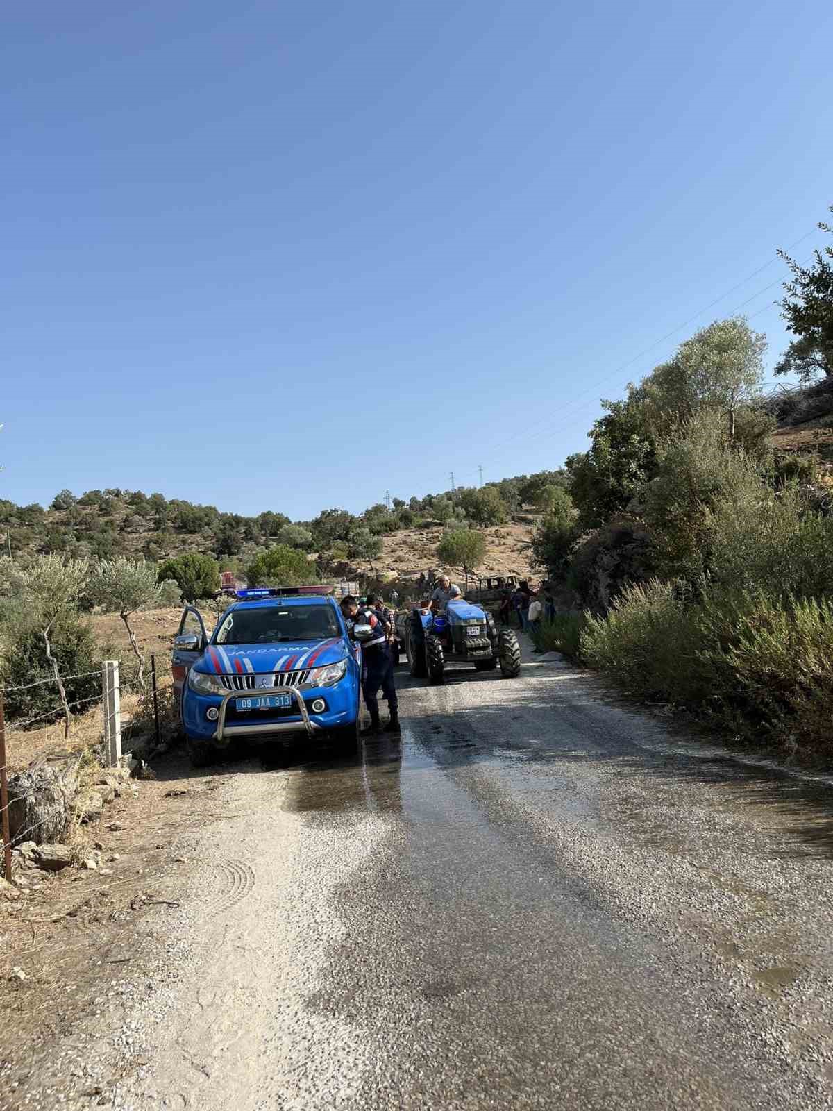 Park halindeki kamyon tamamen yandı
