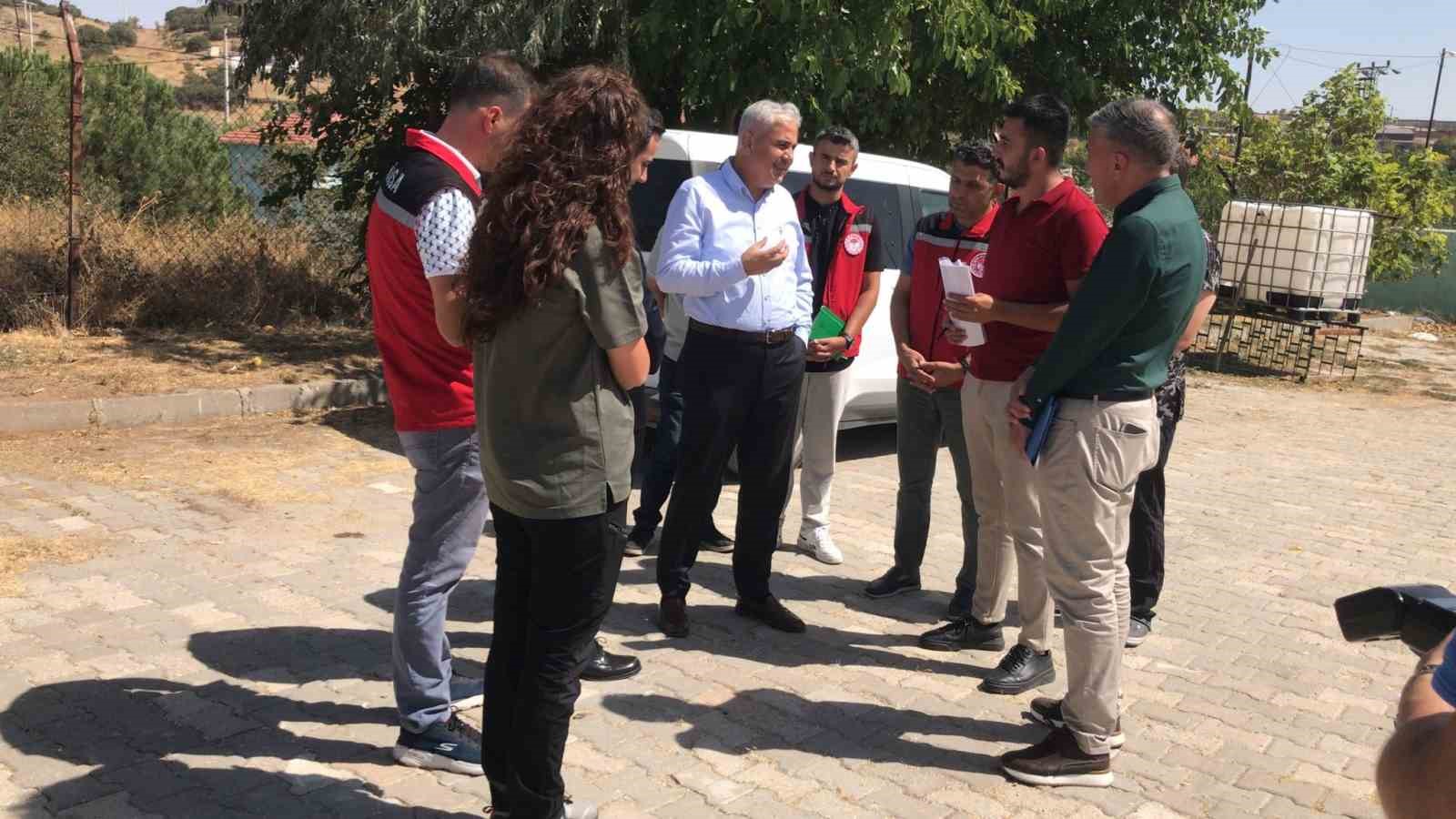 Sokak hayvanları doğal yaşam alanlarına denetim
