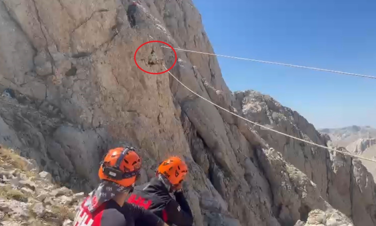 9 g&uuml;n boyunca mahsur kalan ke&ccedil;iler 5 saatlik operasyonla kurtarıldı
