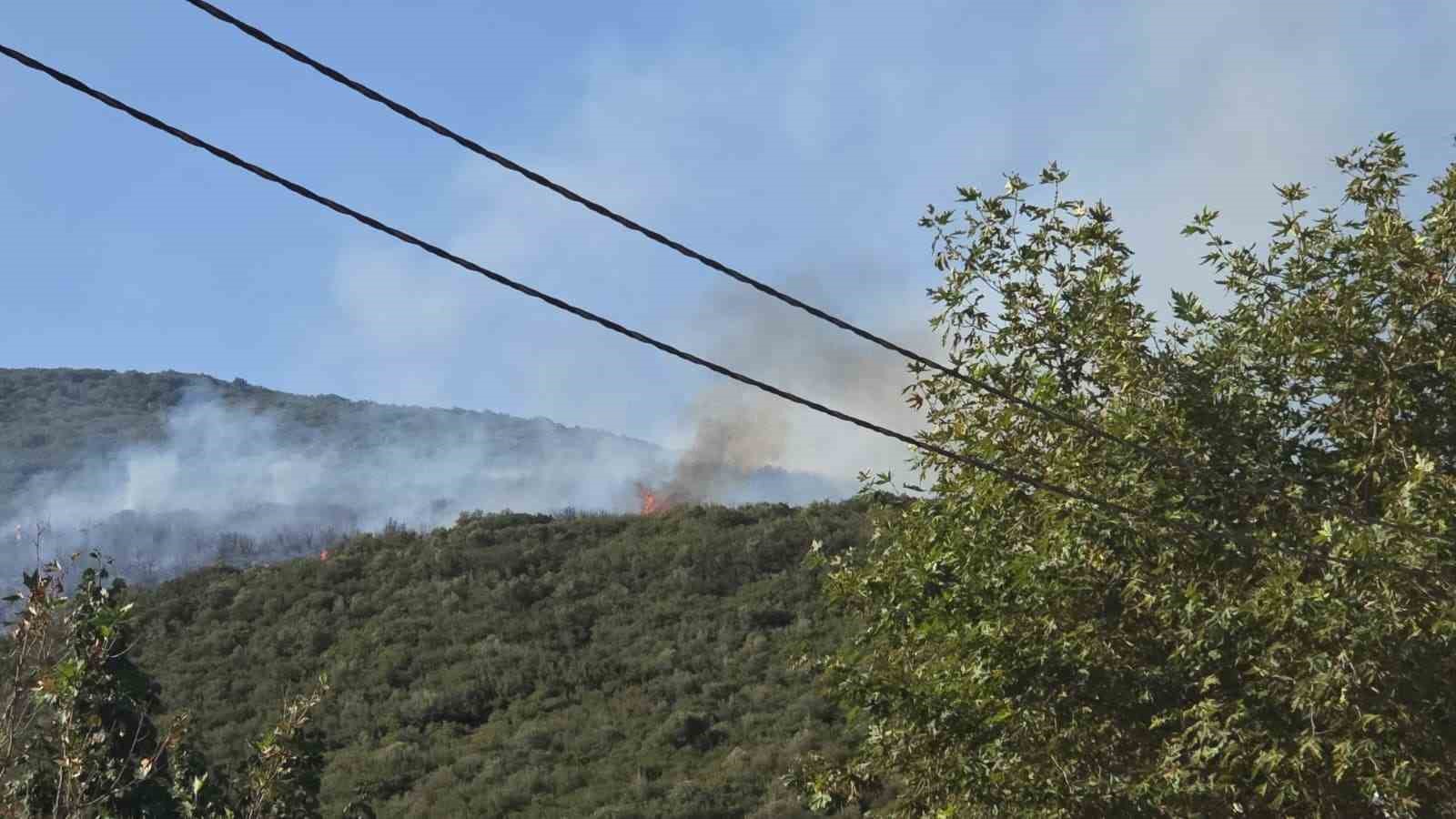 Bursa’daki orman yangını kontrol altına alındı