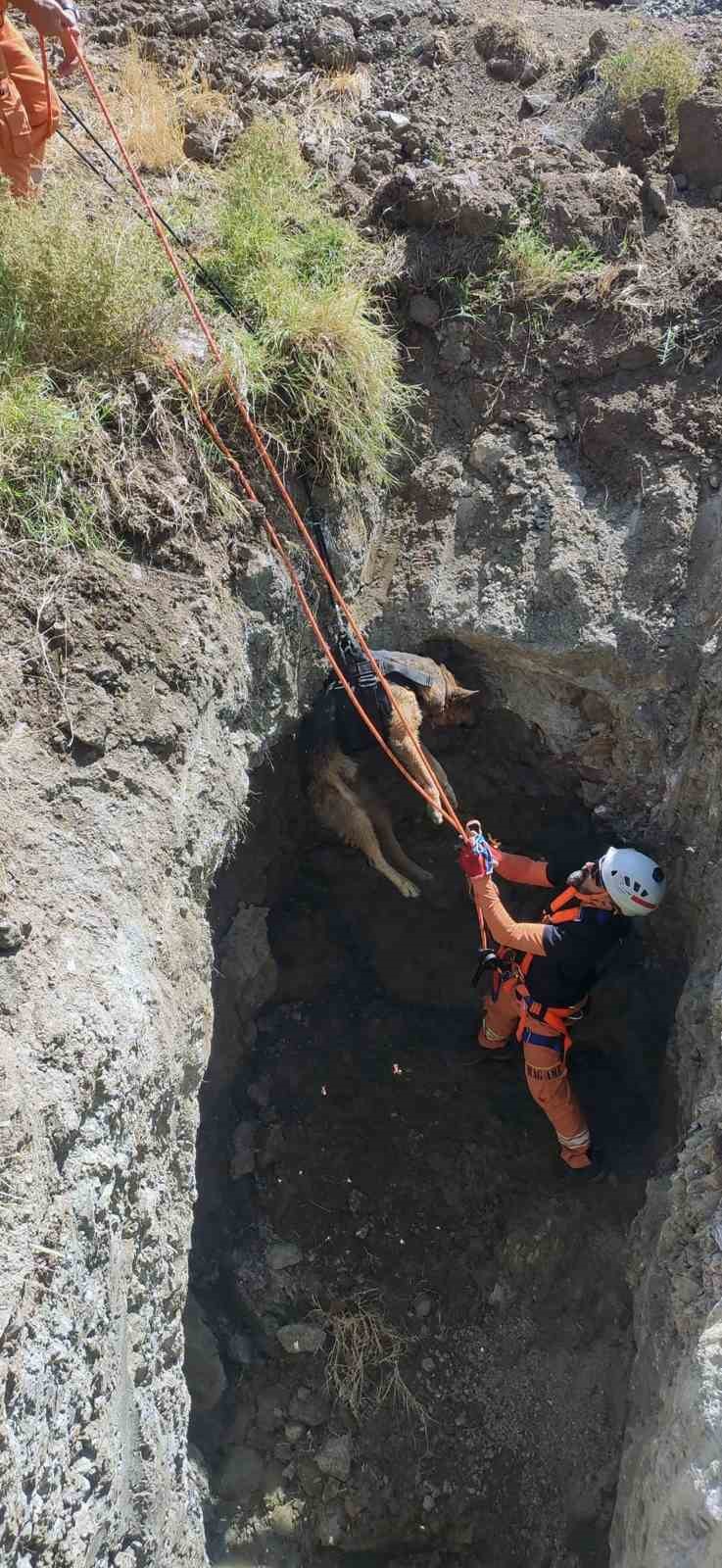 Dat&ccedil;a&rsquo;da kuyuya d&uuml;şen k&ouml;pek MAG-AME ekibince kurtarıldı

