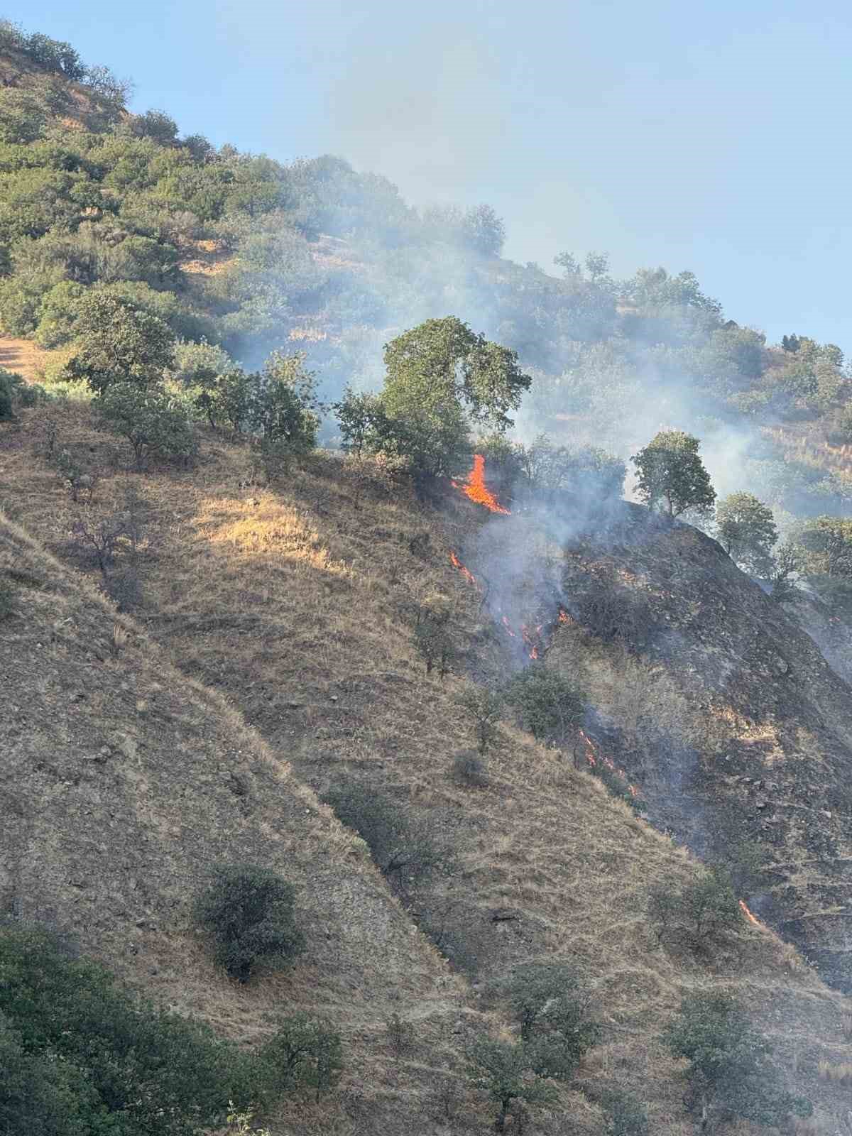 Buharkent’te orman yangını