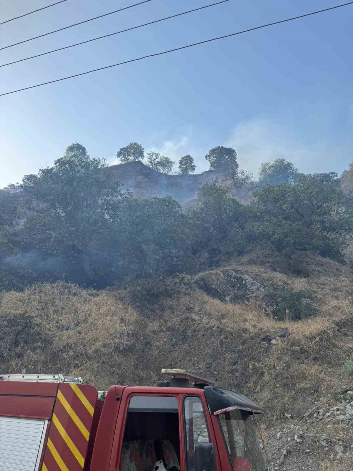 Buharkent’te orman yangını