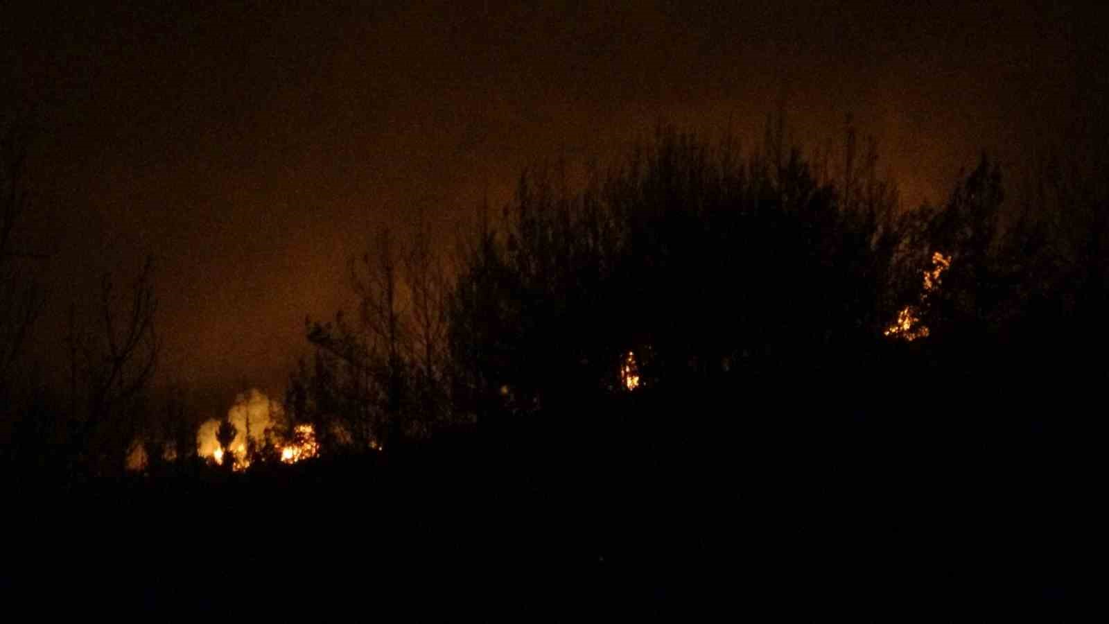 Çanakkale’deki orman yangınına karadan müdahale devam ediyor
