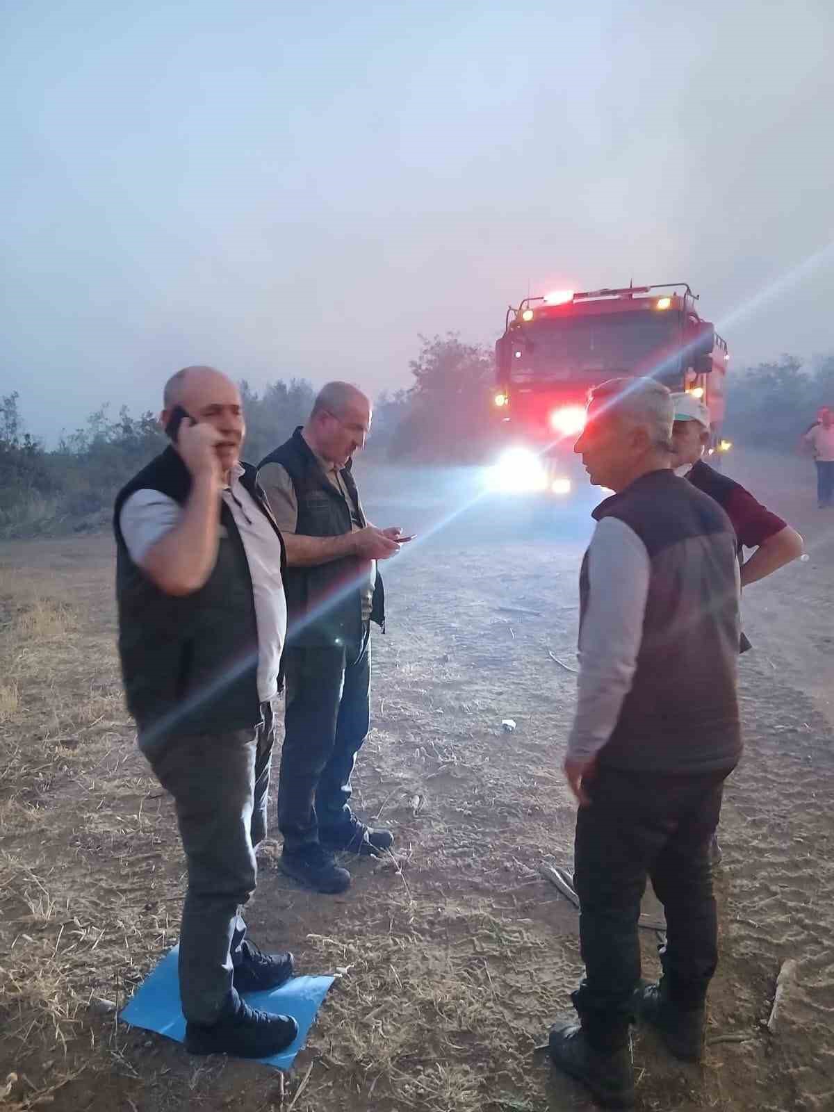 &Ccedil;anakkale Valisi Toraman yangından etkilenen k&ouml;yde incelemelerde bulundu
