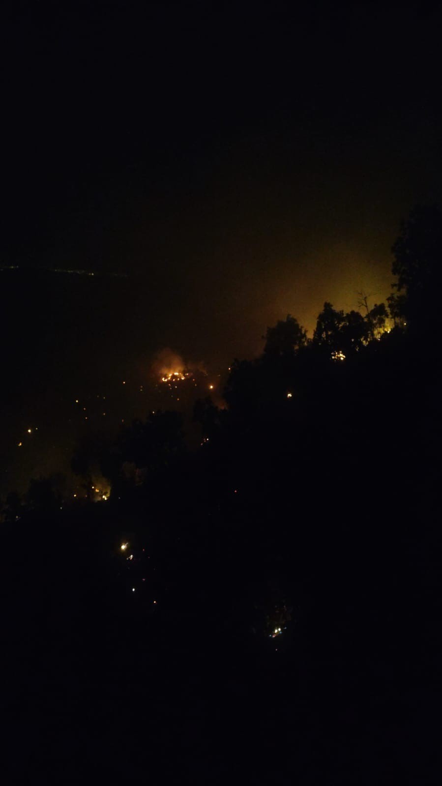 Diyarbakır’da ormanlık alanda çıkan yangın söndürüldü
