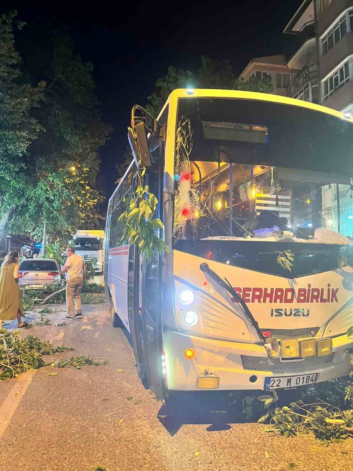 Edirne’de ağaç devrildi, 2 araç hasar gördü