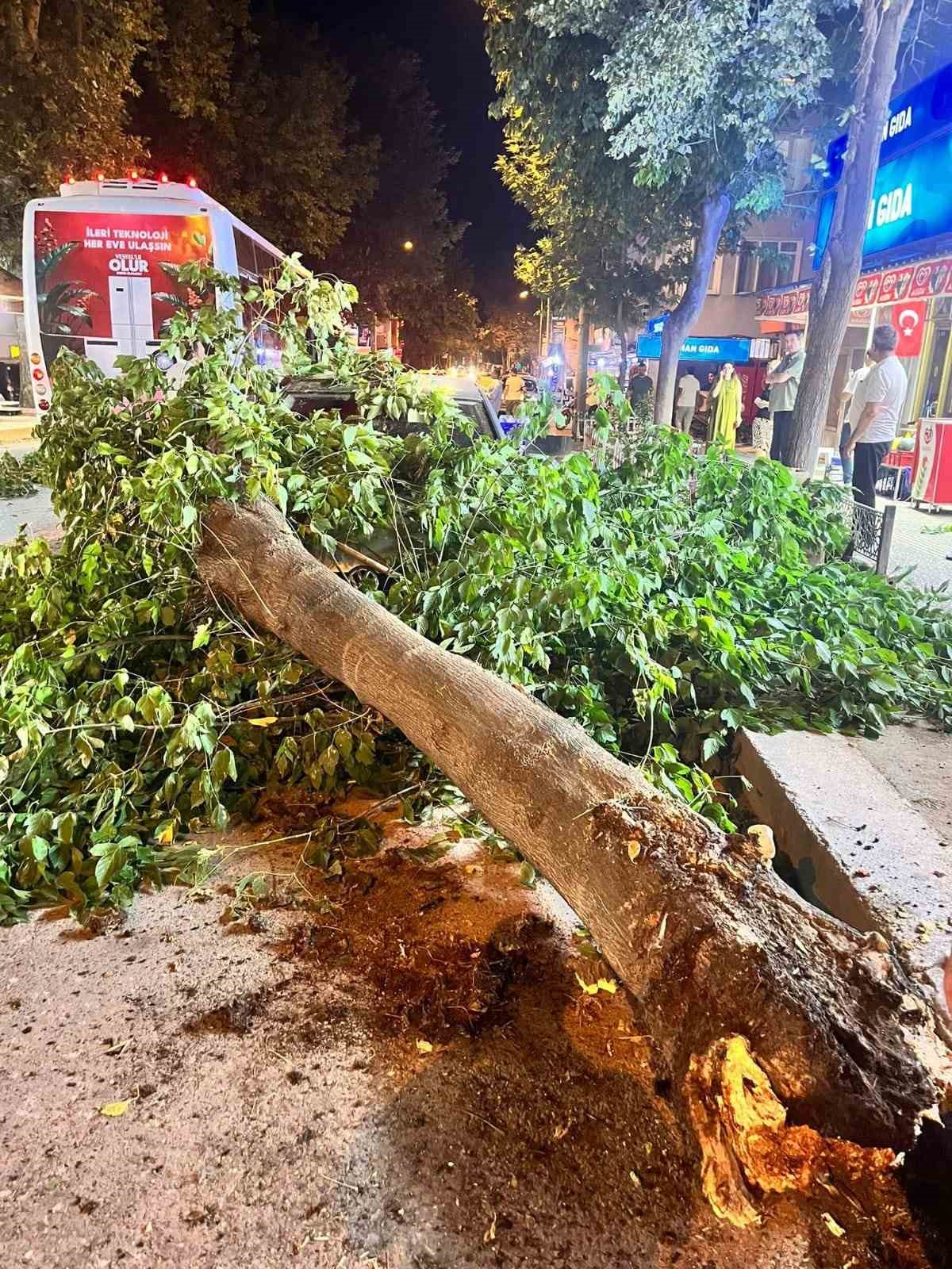 Edirne&rsquo;de ağa&ccedil; devrildi, 2 ara&ccedil; hasar g&ouml;rd&uuml;
