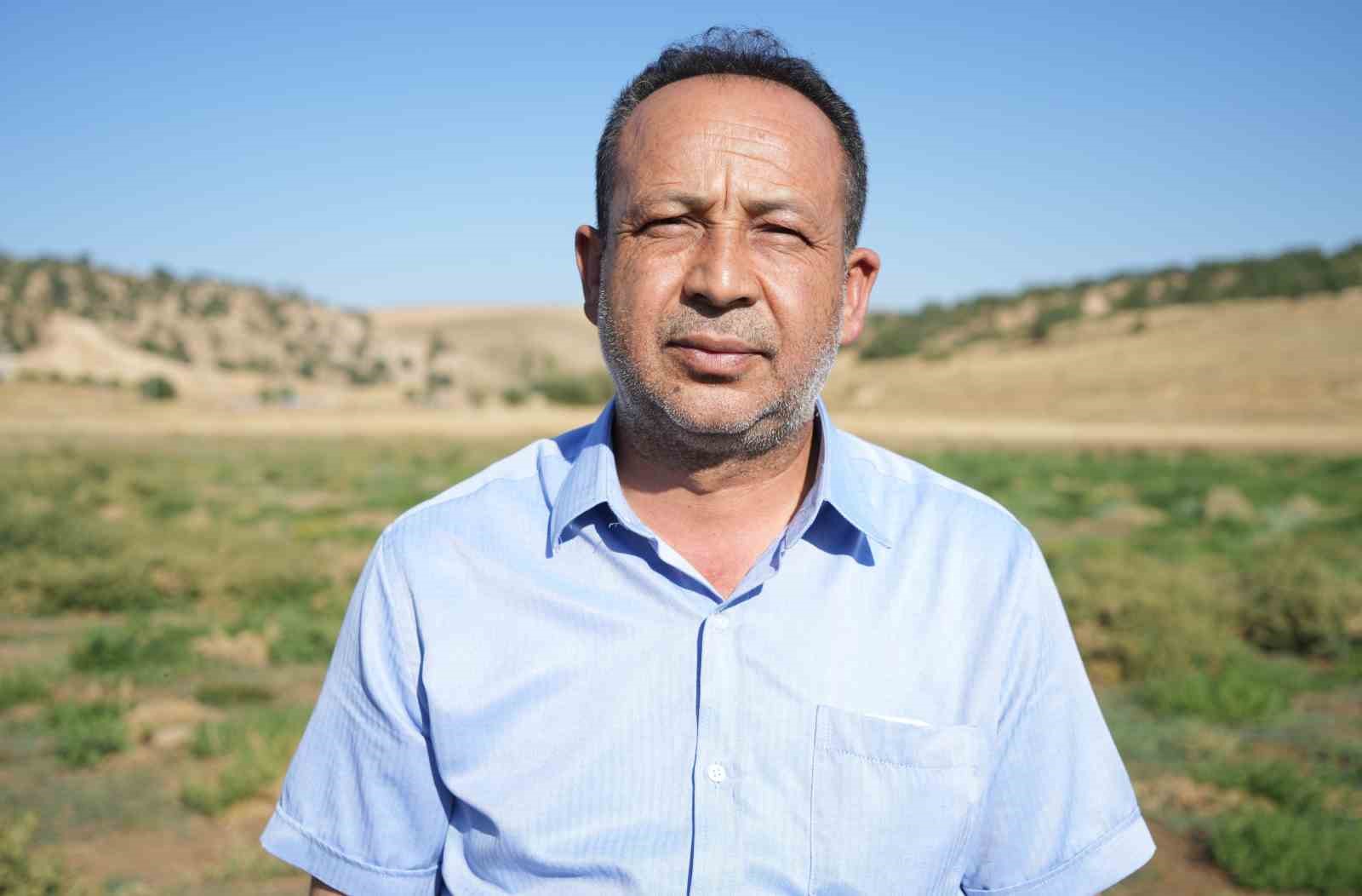 Sular çekildi, kuraklık göleti çorak araziye dönüştürdü
