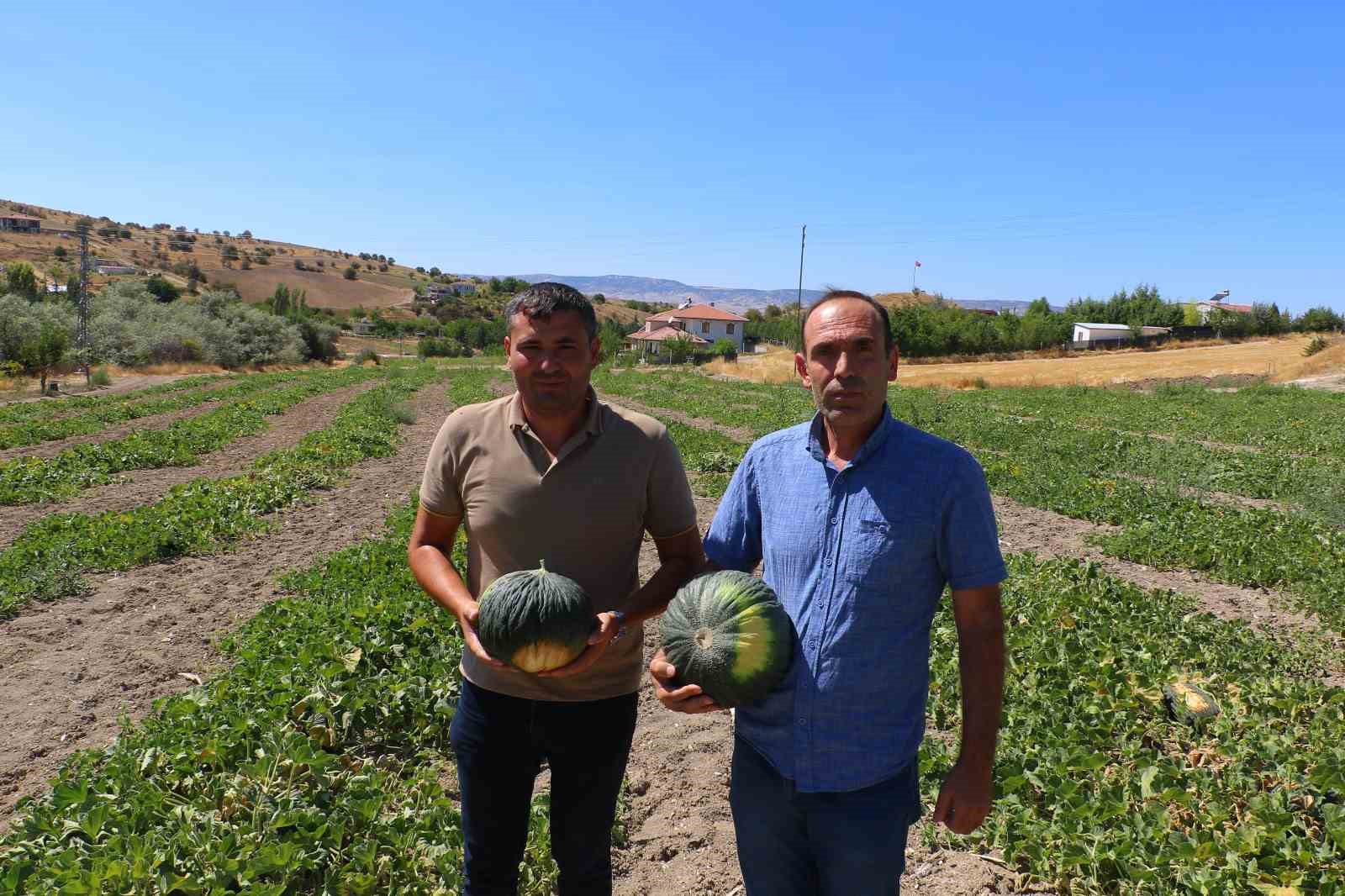 Coğrafi işaretli meşhur Kahramankazan kavunu yeniden sofralara d&ouml;n&uuml;yor
