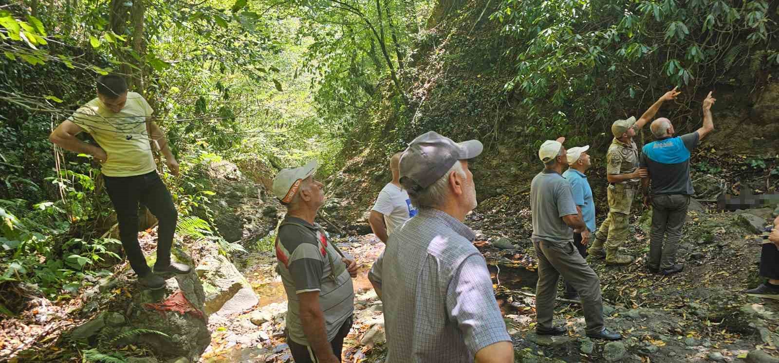 Ordu’da fındık toplarken uçurumdan düşen vatandaş hayatını kaybetti
