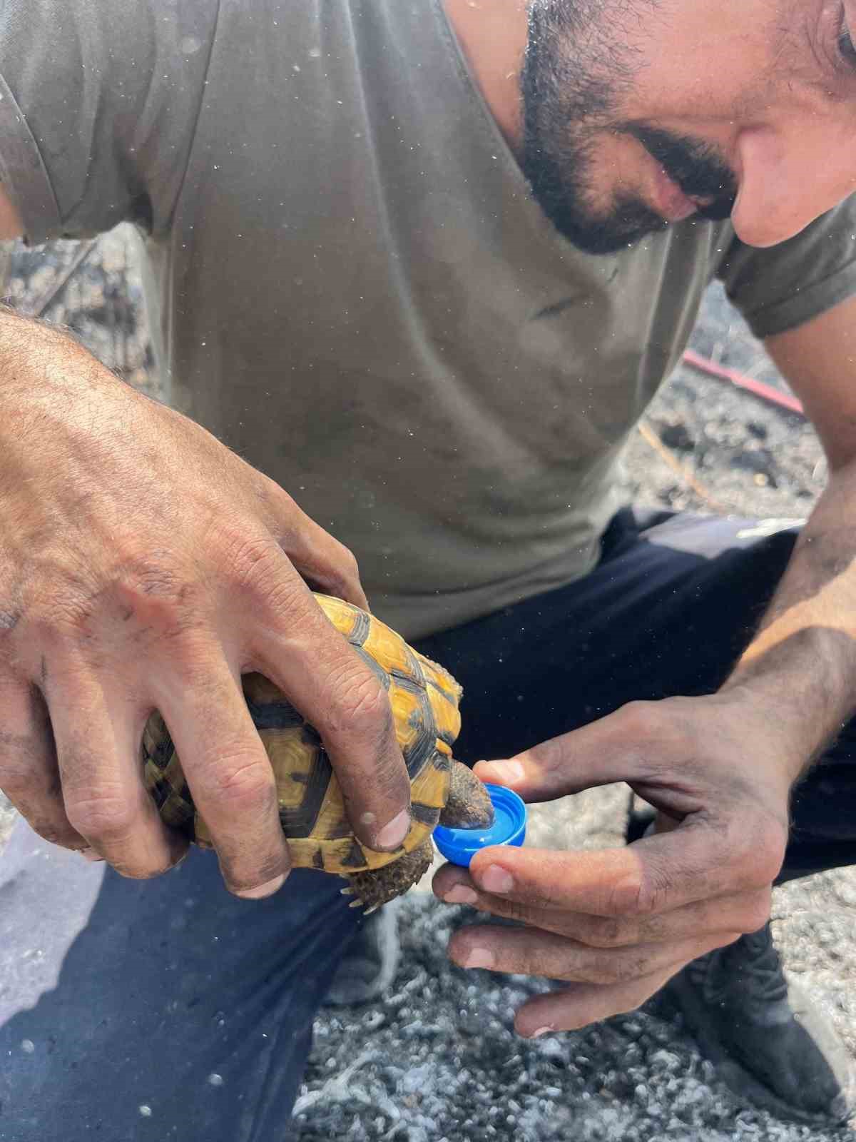 Alevlerin ortasında bir damla hayat