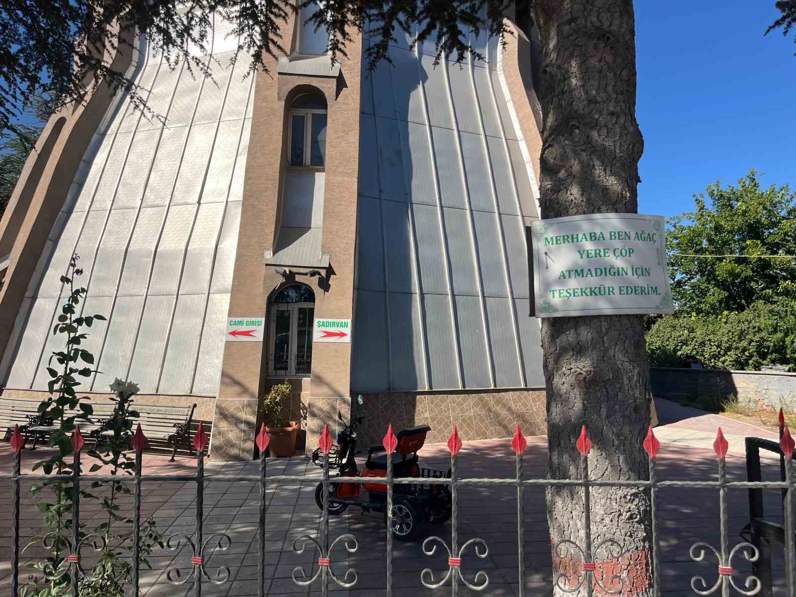 Ağaçlarda çevreye duyarlılık mesajları