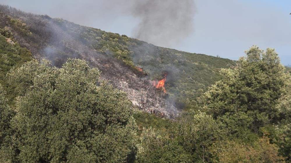 Gedelek yangını ile ilgili 1 kişi gözaltına alındı