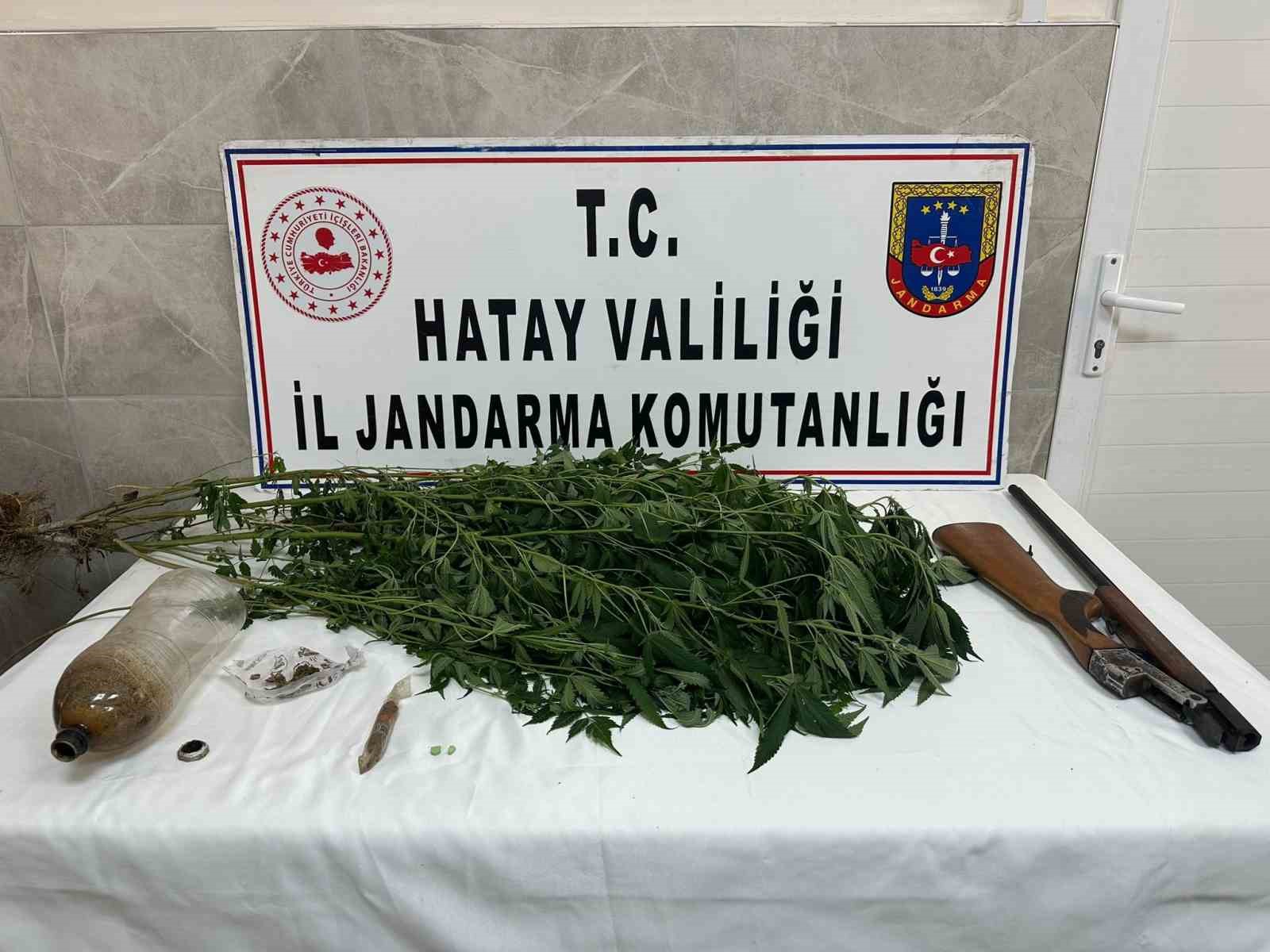 Payas’ta evinin bahçesinde hint keneviri yetiştiren şahıs yakayı ele verdi