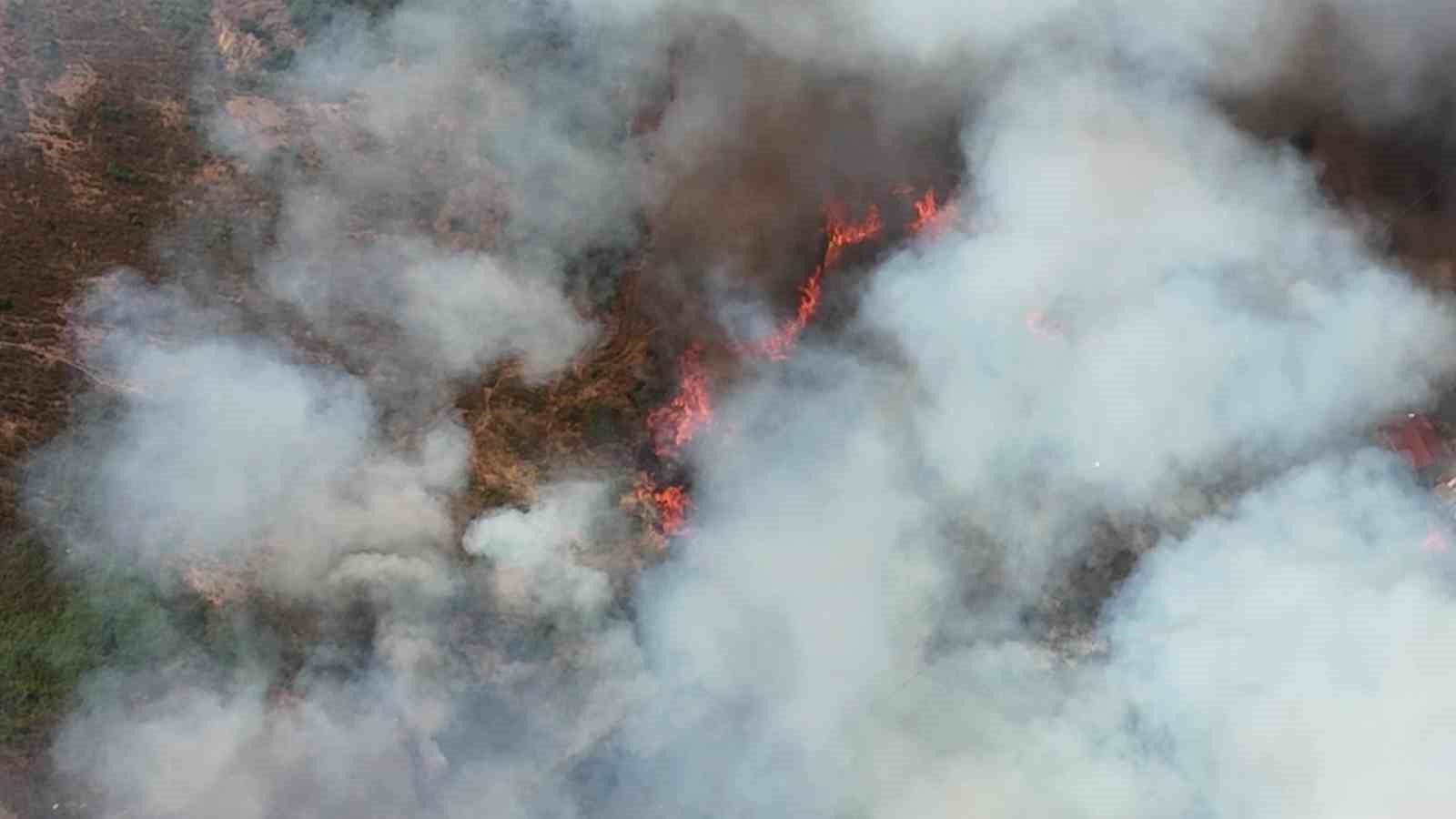 Kocaeli’de orman yangınına havadan ve karadan müdahale: Alevler evlere de sıçradı