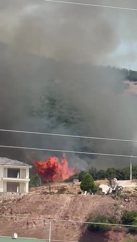 Kocaeli’de orman yangınına havadan ve karadan müdahale: Alevler evlere de sıçradı