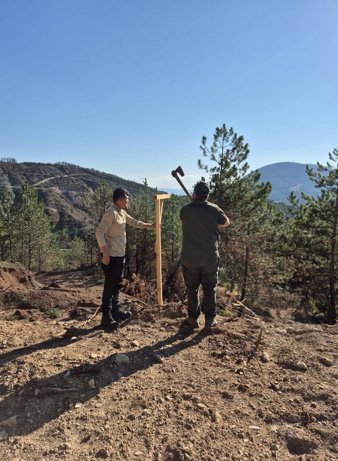 Bolu&rsquo;da yanan ormanlık alanlara feromon tuzakları asıldı
