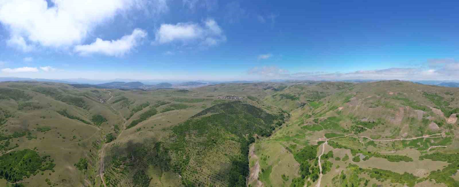 Yayla sakinleri imece usulü çalışarak bozkırı ormana dönüştürdü
