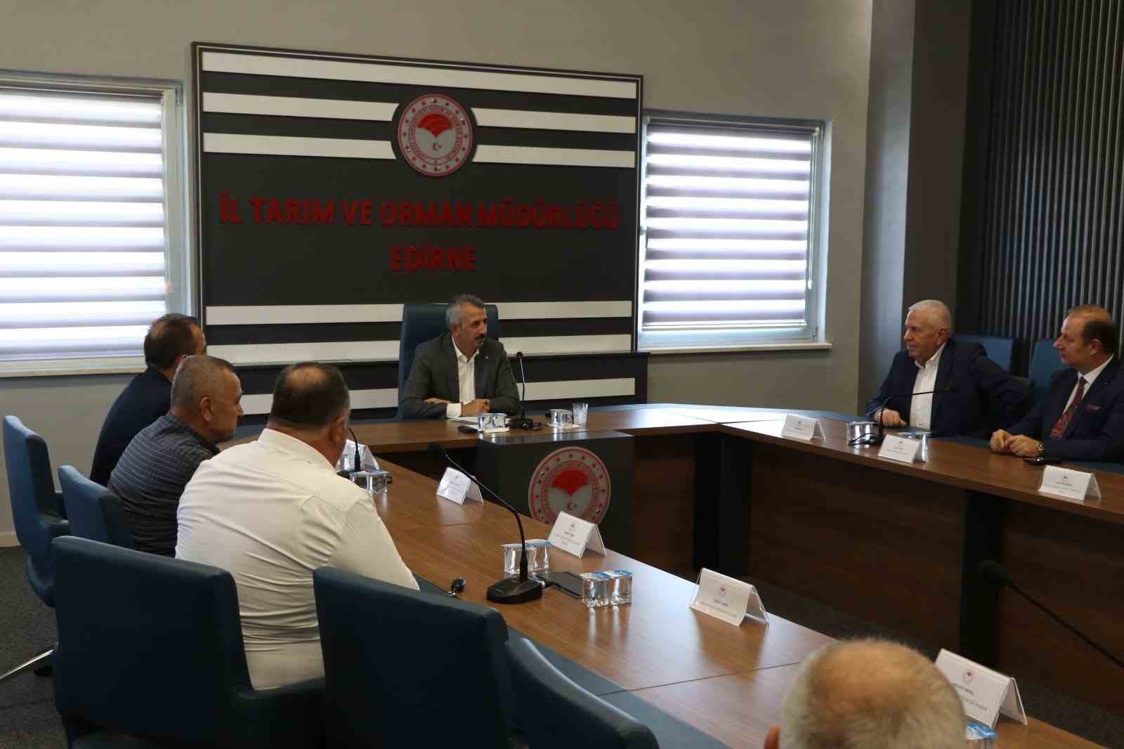 Edirne, damızlık d&uuml;ve &uuml;retiminde merkez olma yolunda
