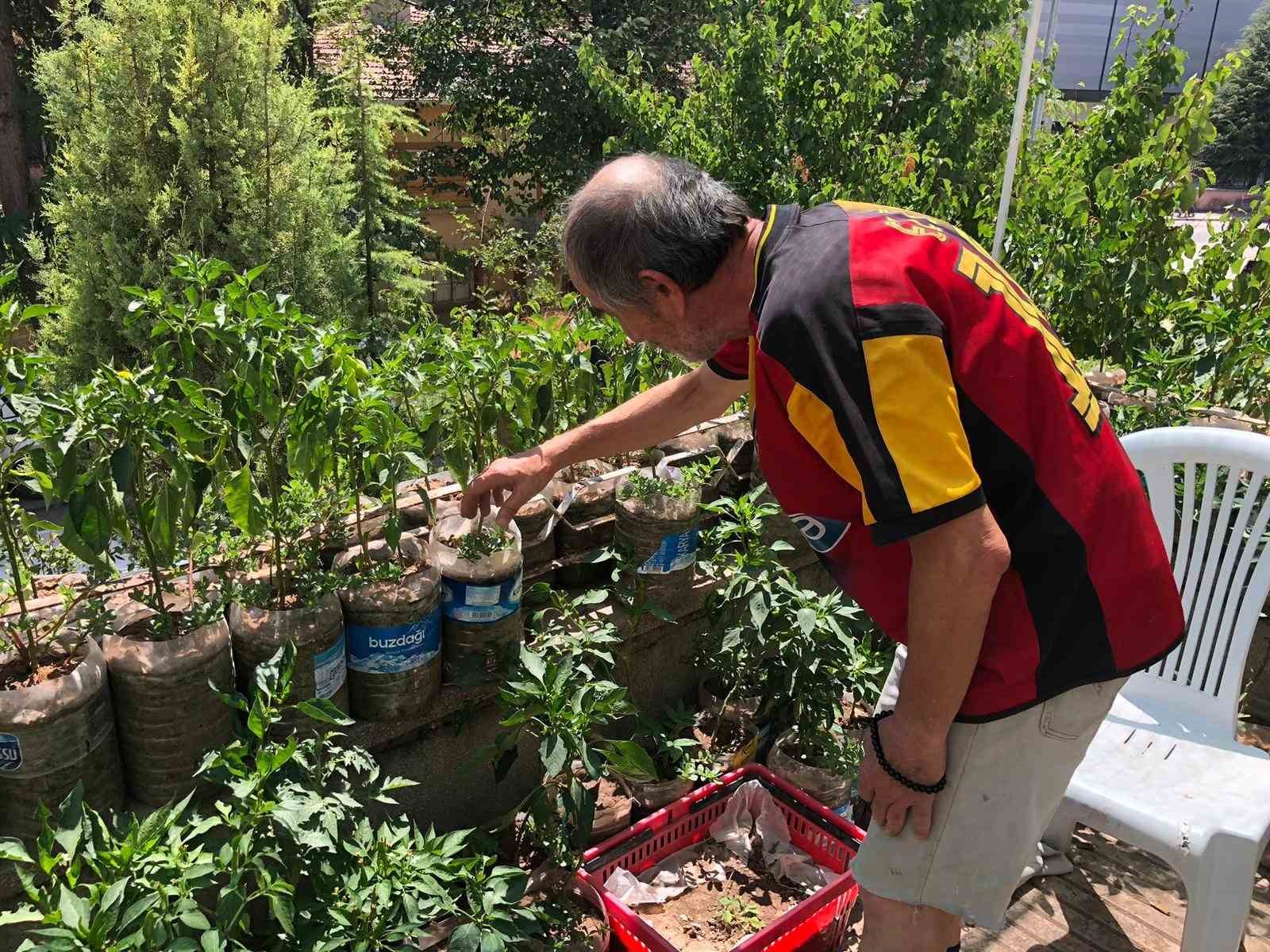 Eskişehirli esnaf iş yerinin balkonunu bahçeye çevirdi