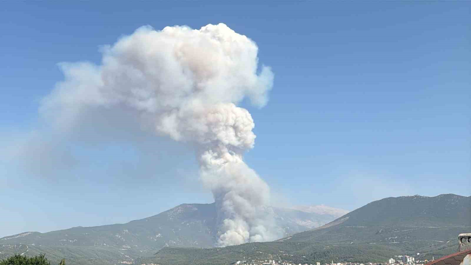 Denizli&rsquo;de orman yangını
